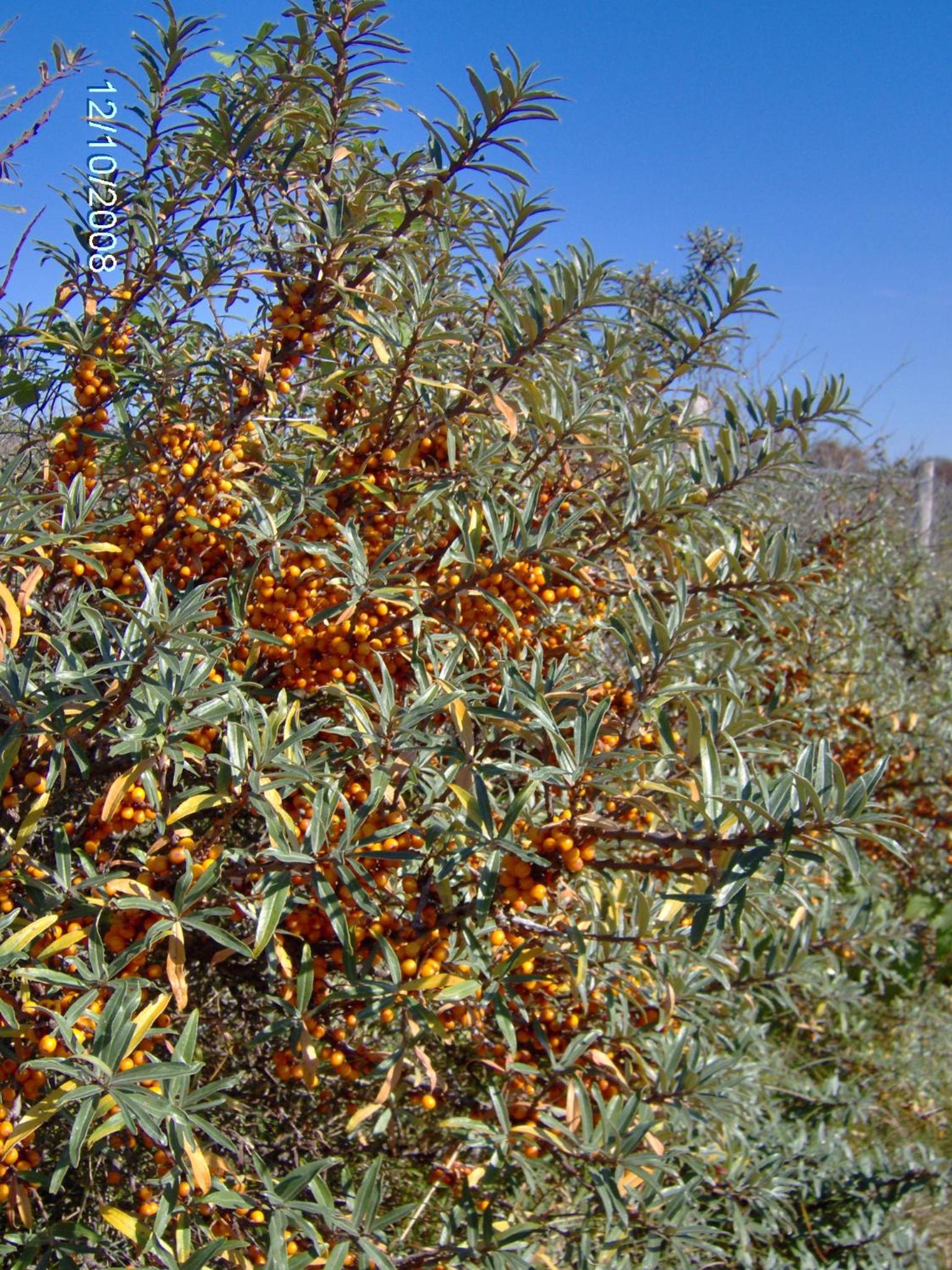 Photo 35