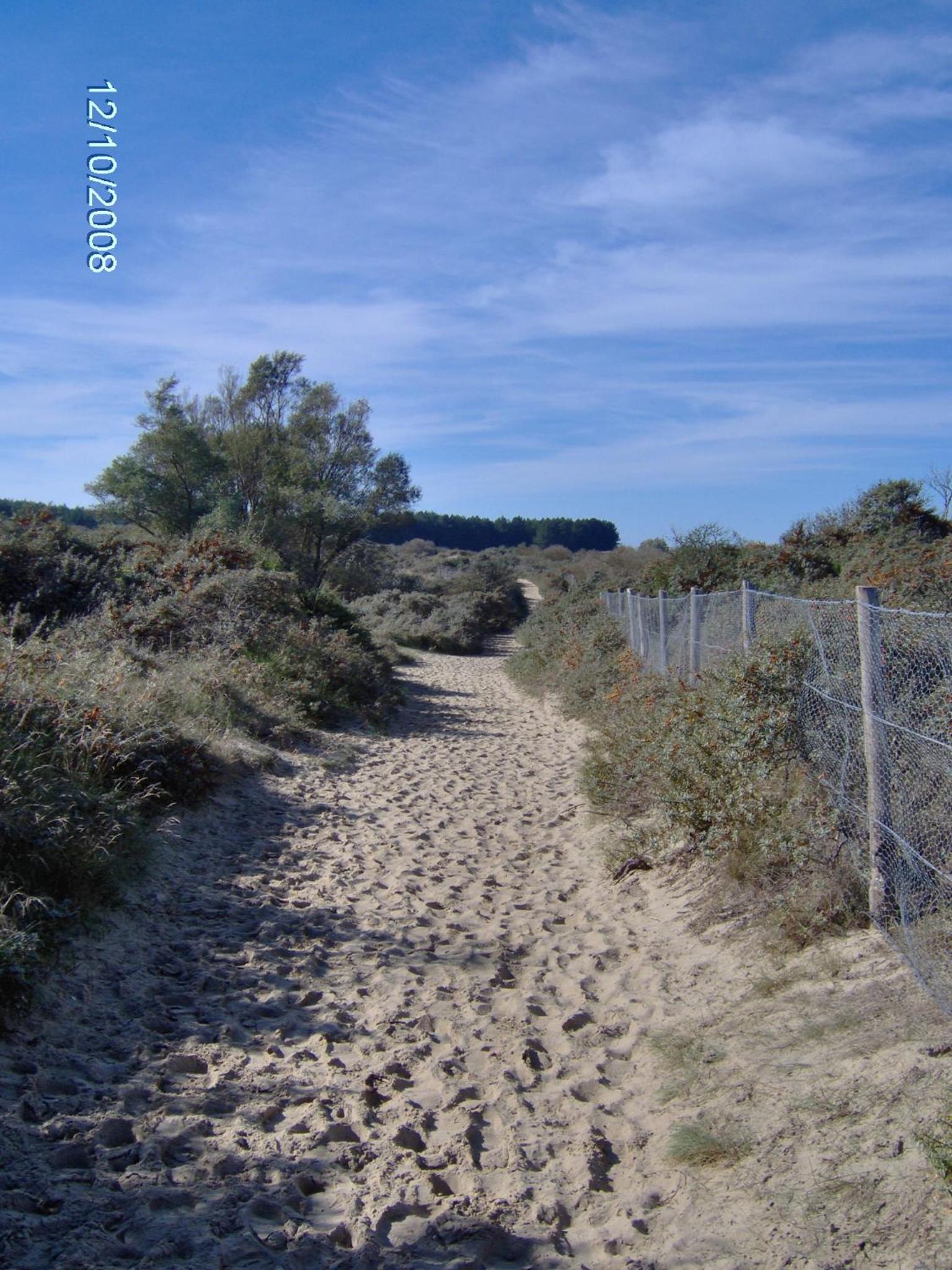 Photo 41