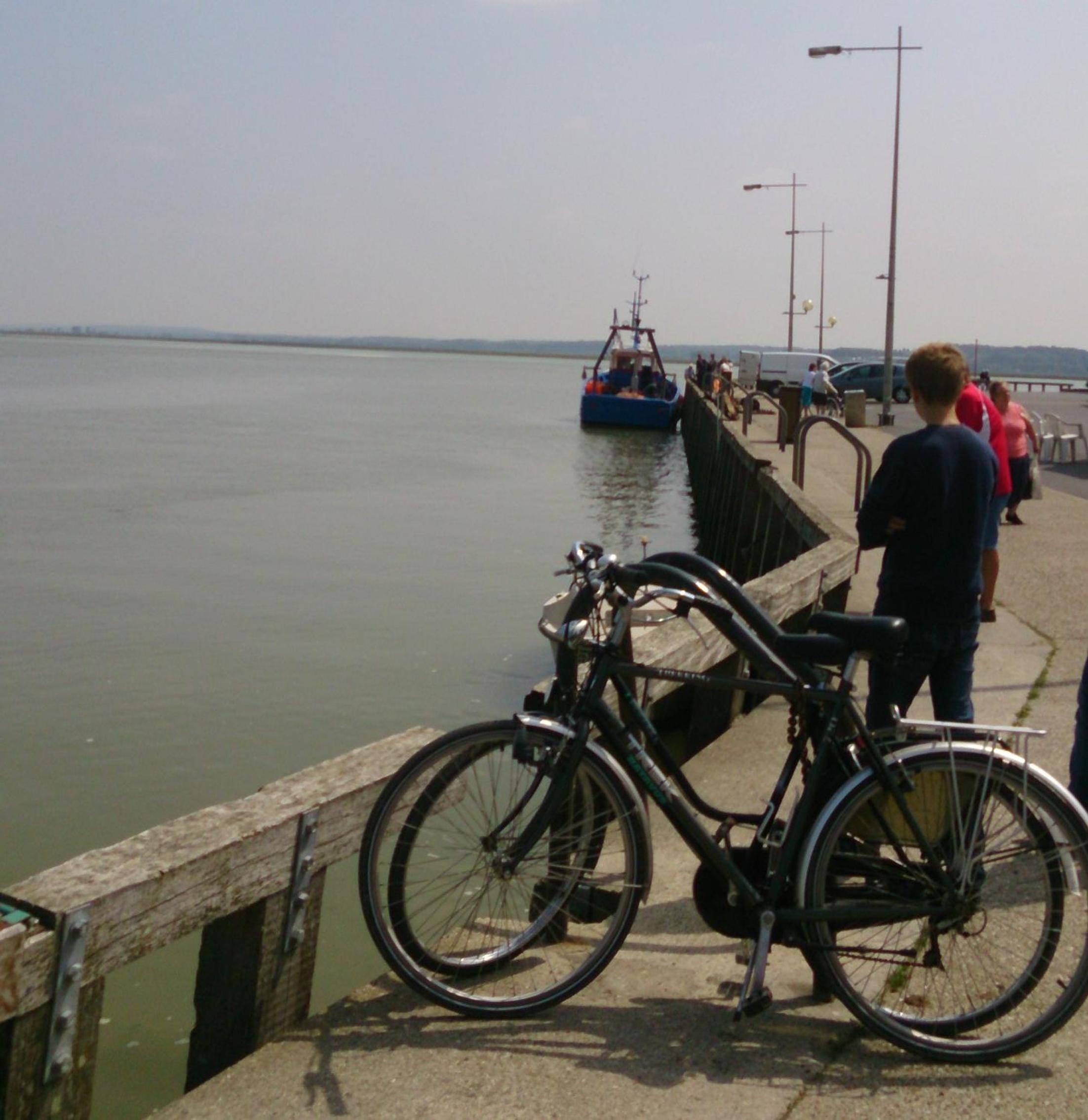 Photo 40