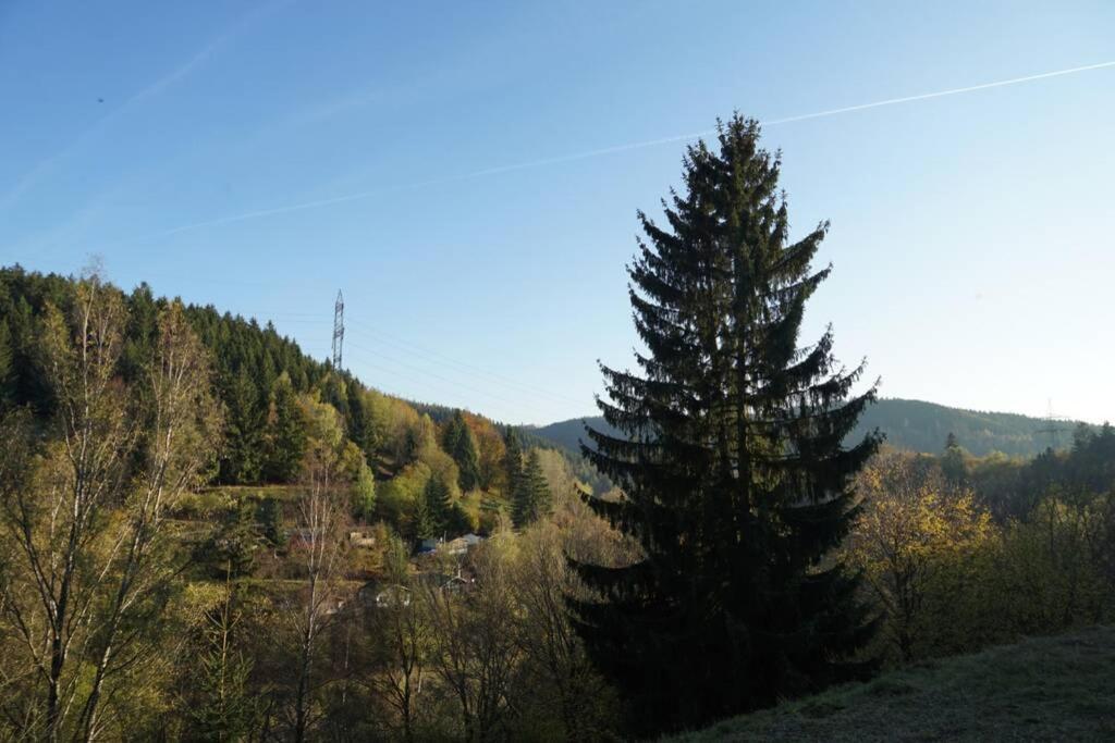 Ferienhaus Hellaberg