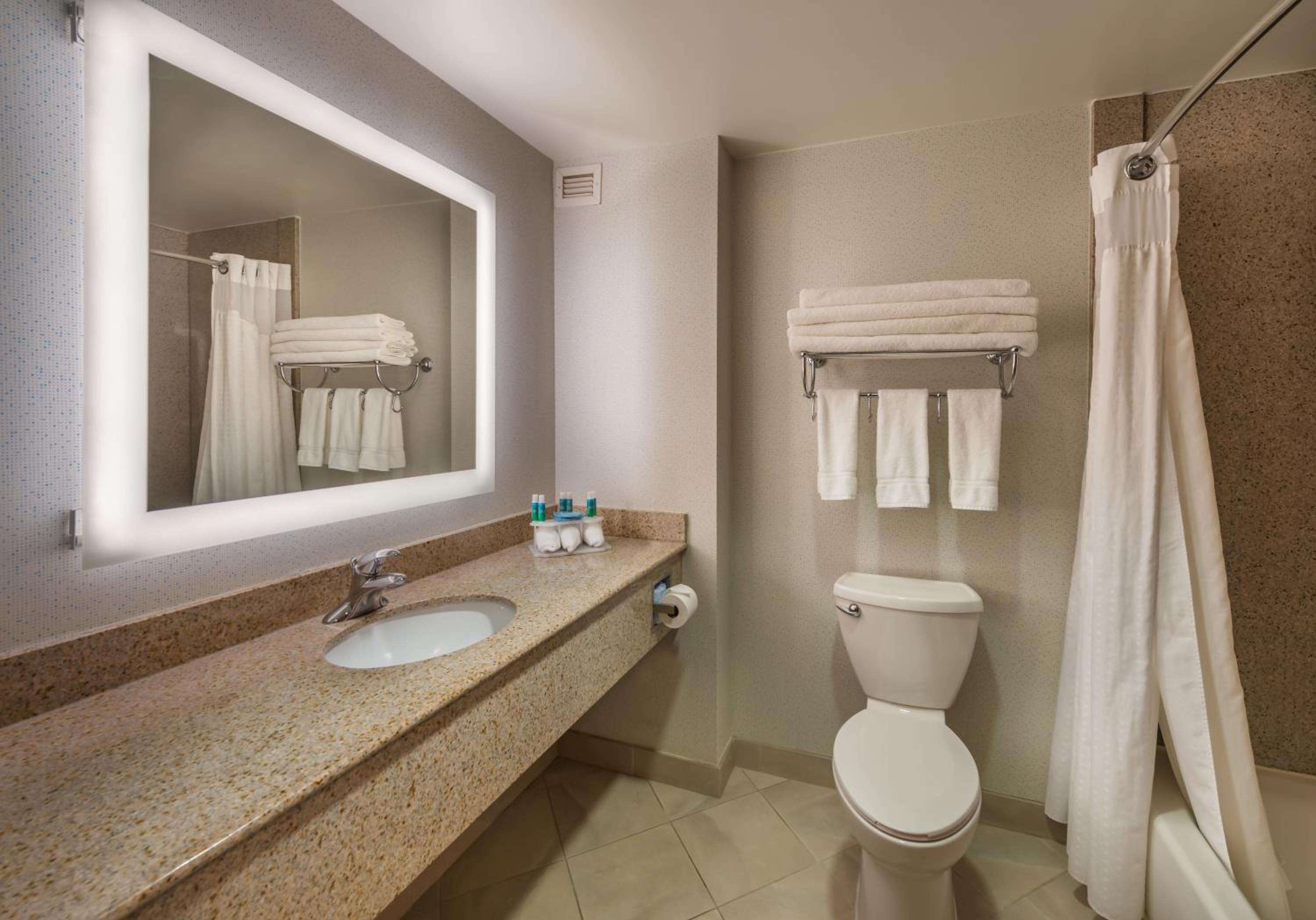 Carson City Vacations - Holiday Inn Express Hotel Suites Carson City, an IHG Hotel - Property Image 11