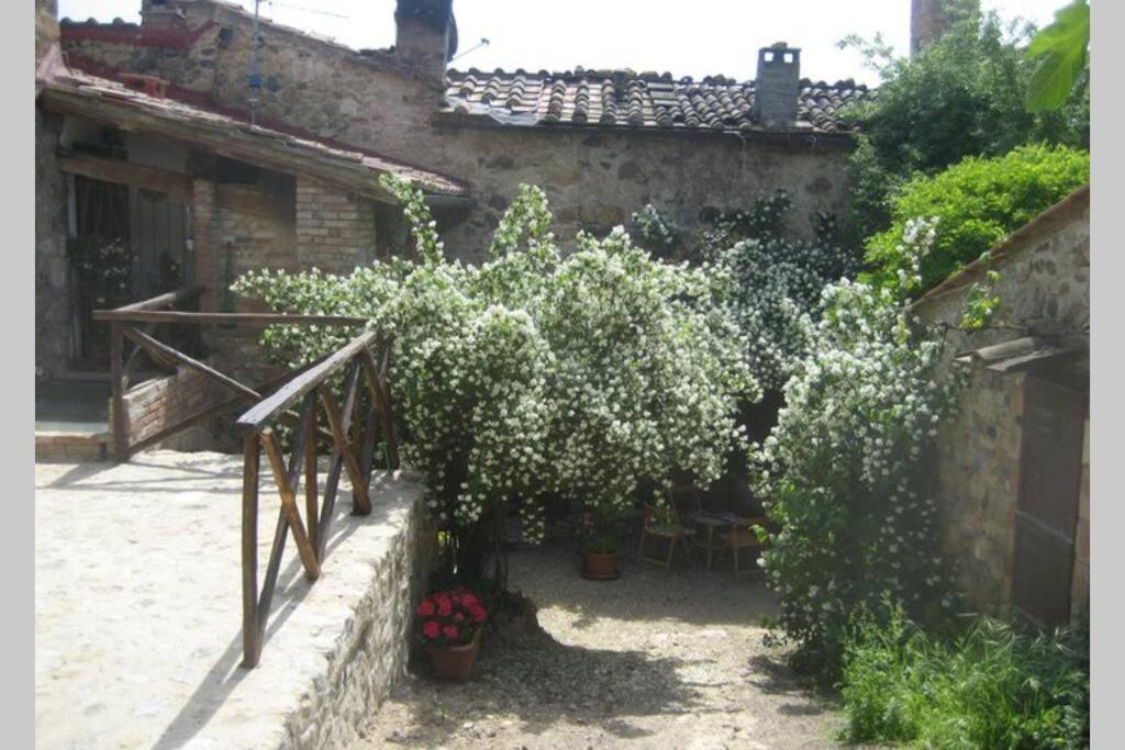 Photo 40
