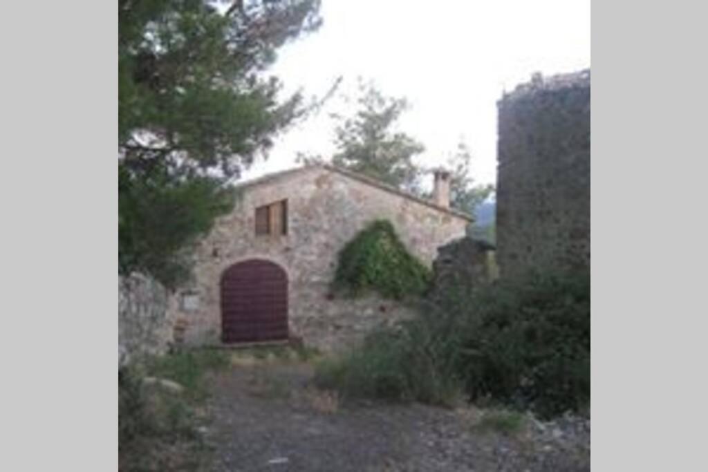 Photo 45