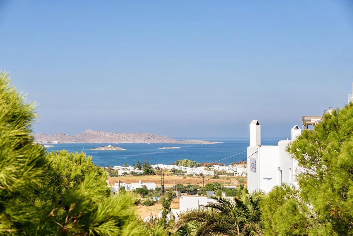 Agnanti Studios photo 3