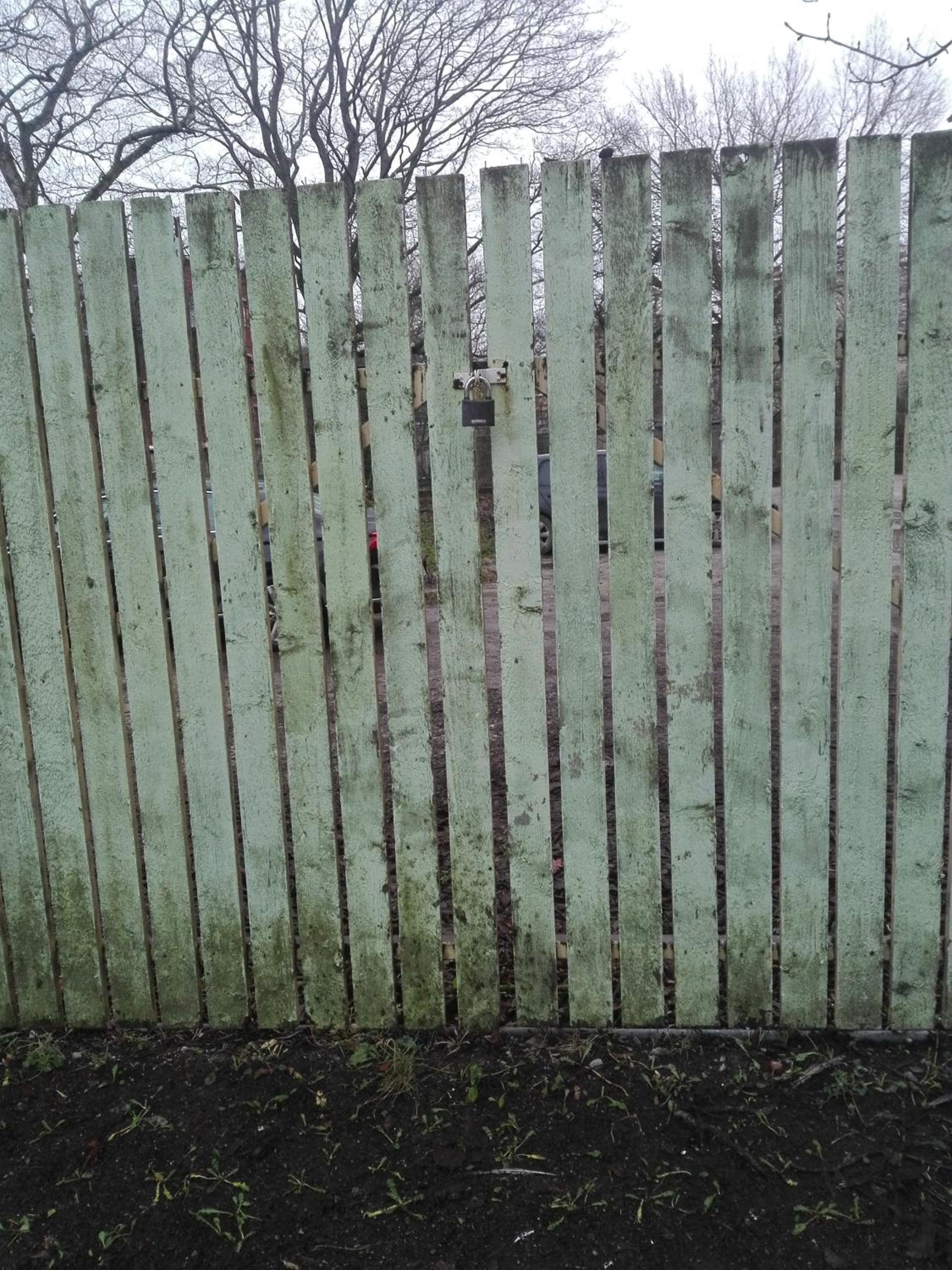 Photo 15