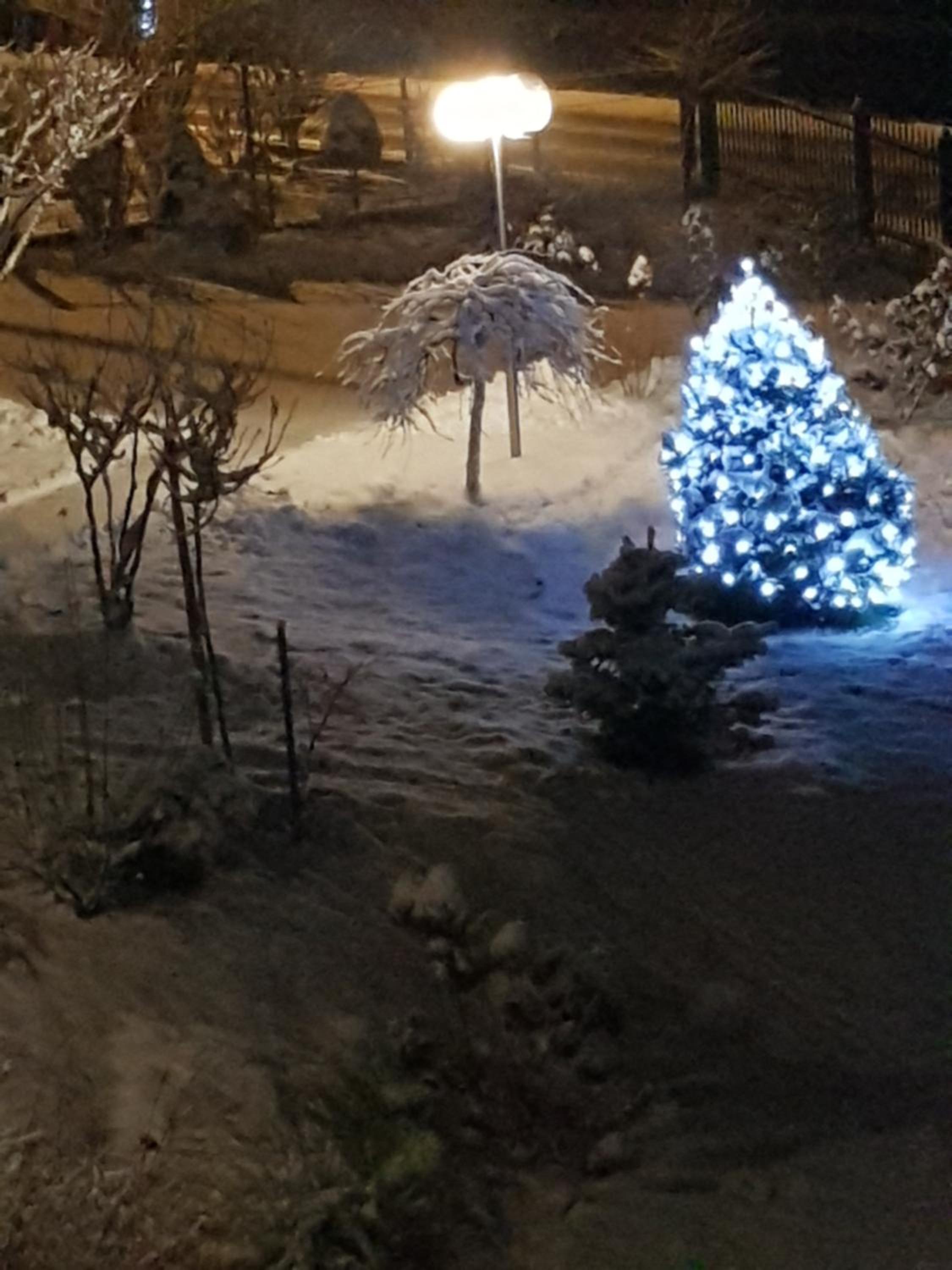 Staś -przy szkole nr 3 w Skawie view 2