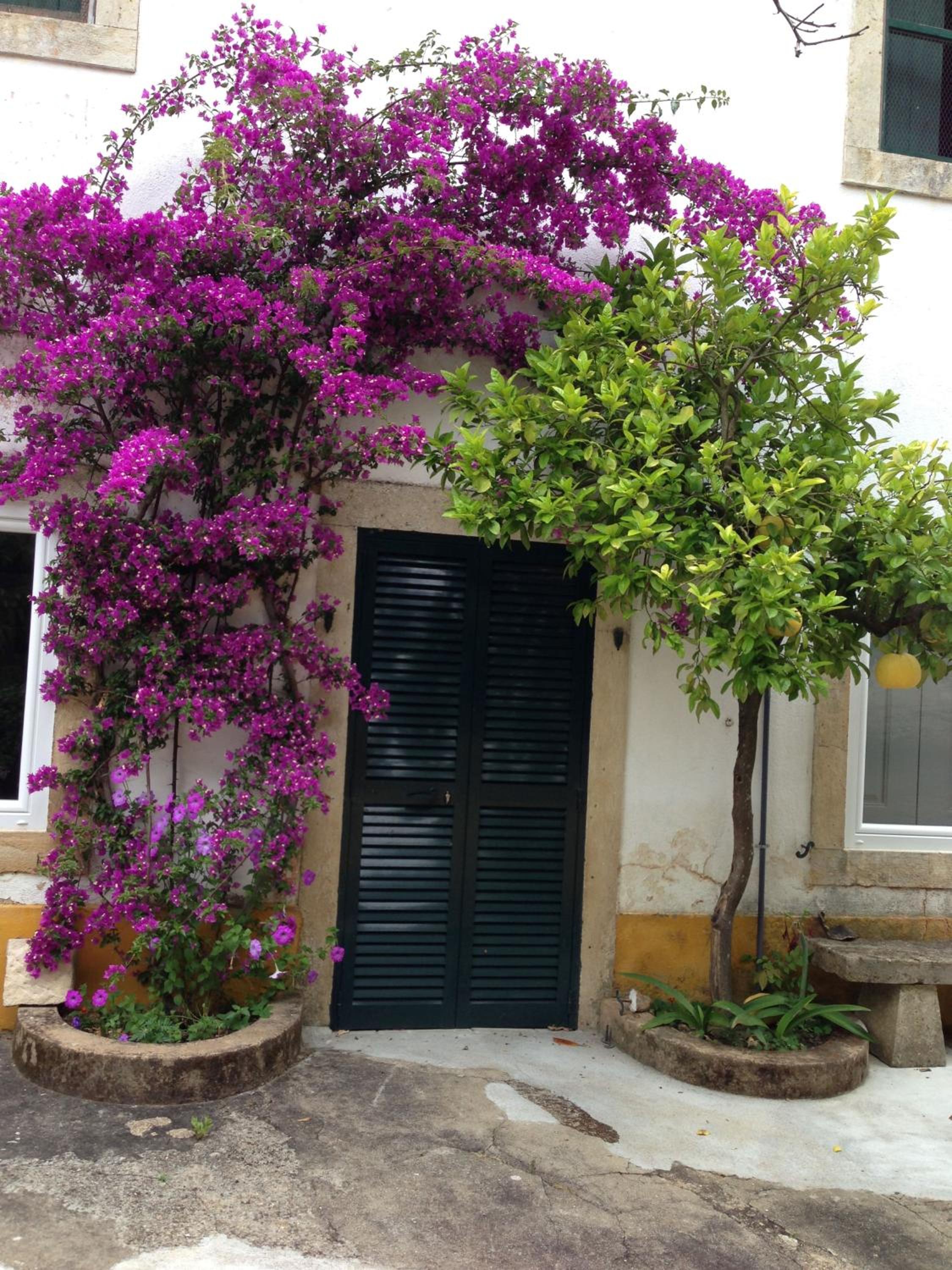 Quinta da Bizelga Cottages view 4