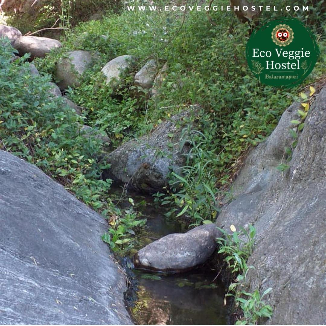 Balaramapuri Eco Veggie Hostel