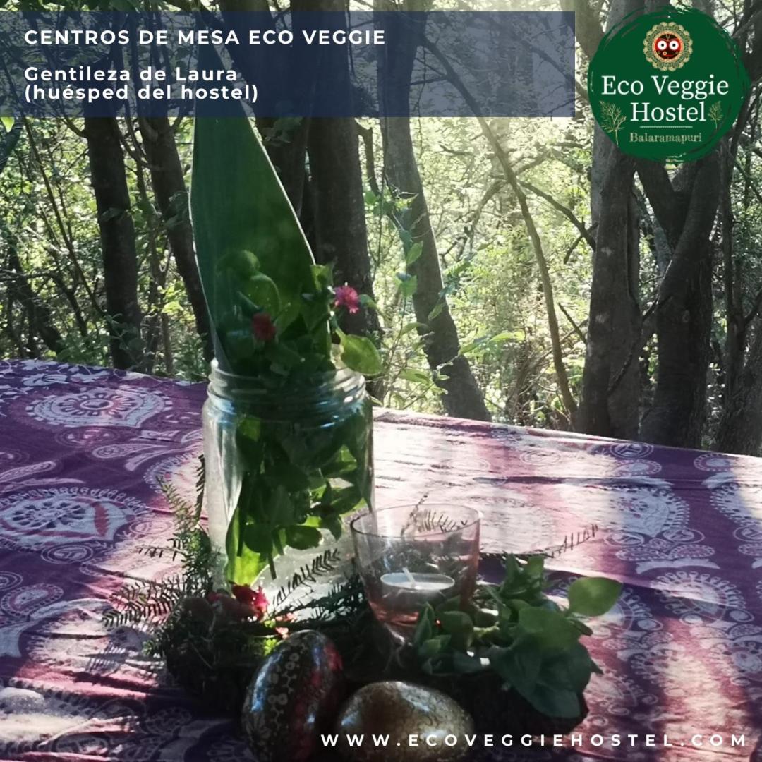 Balaramapuri Eco Veggie Hostel