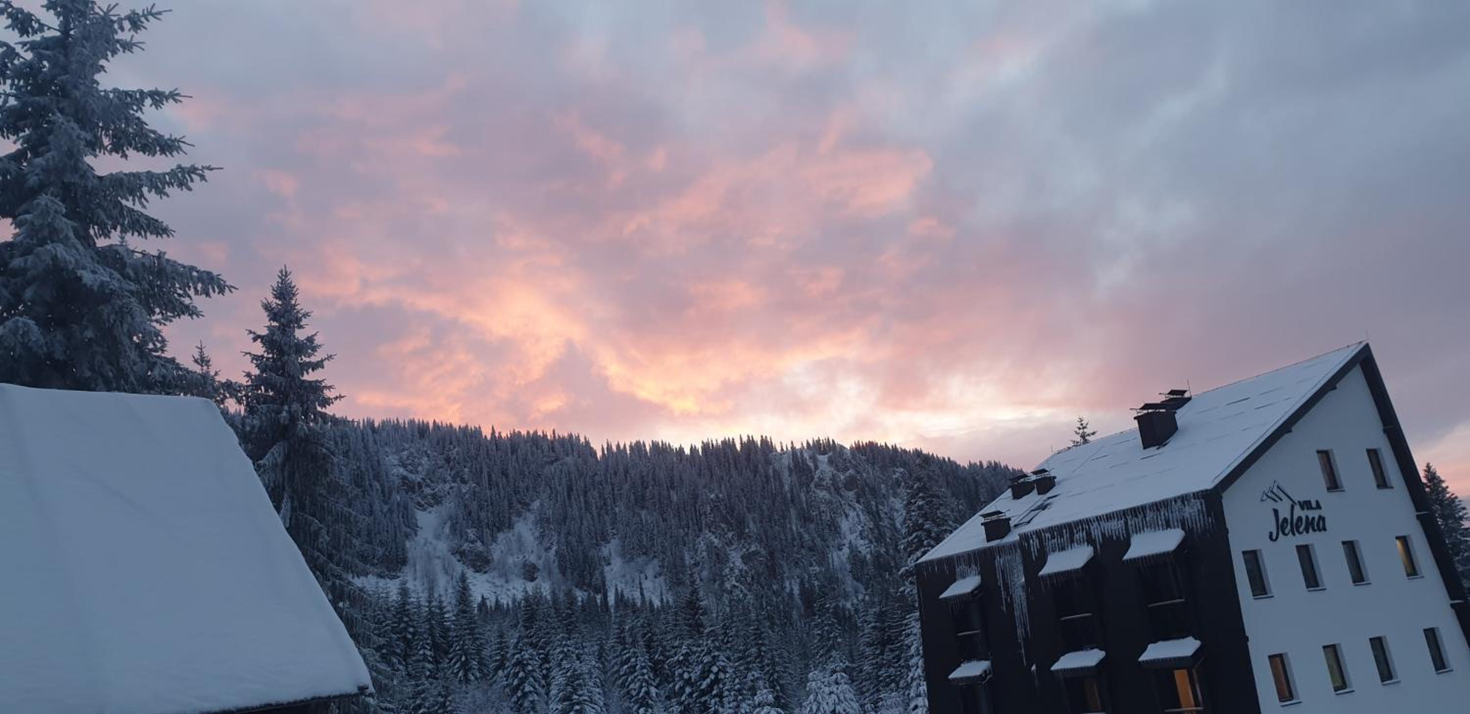 Jelka apartmani