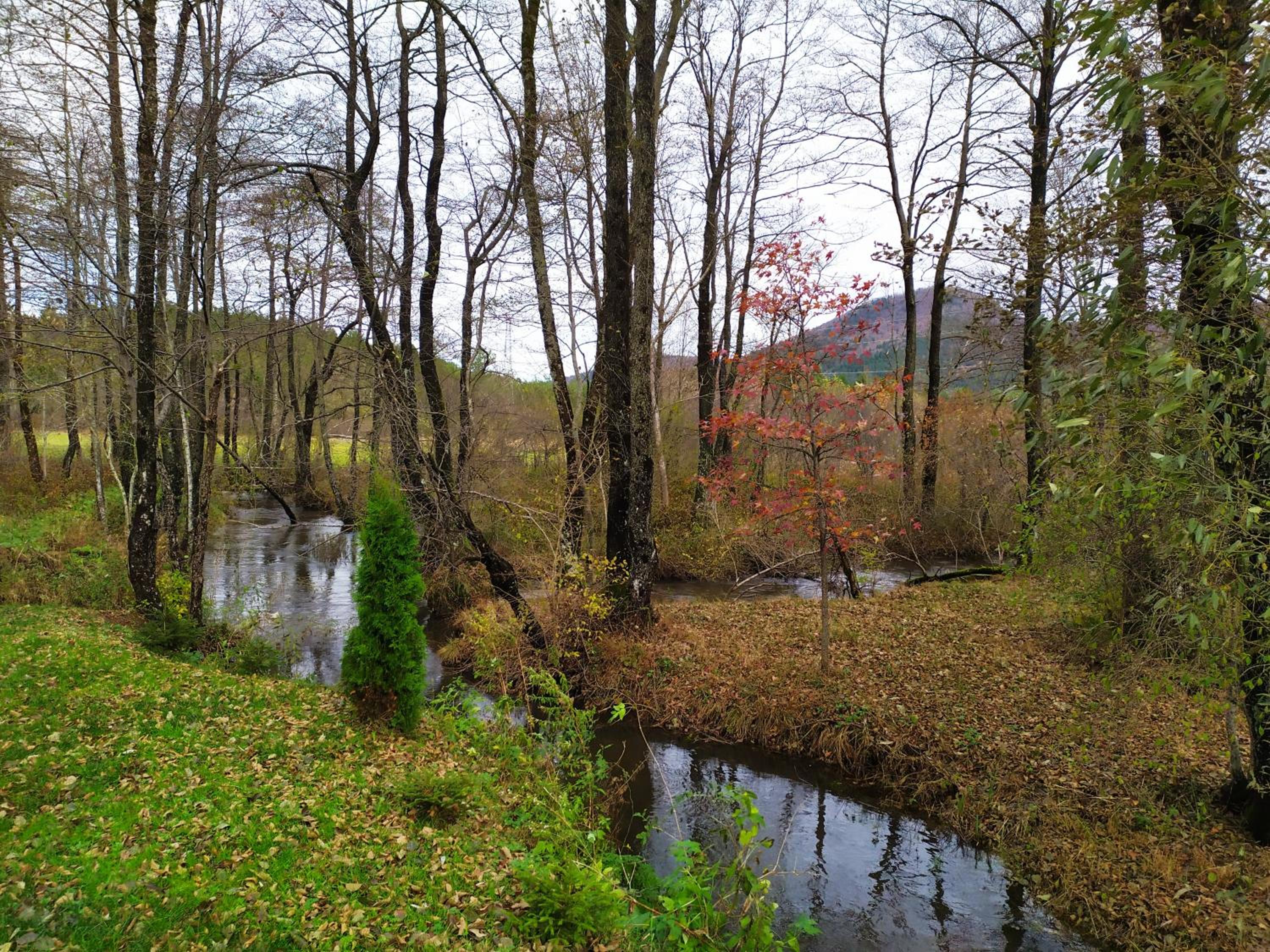 Vodenica Vrelo Chalets