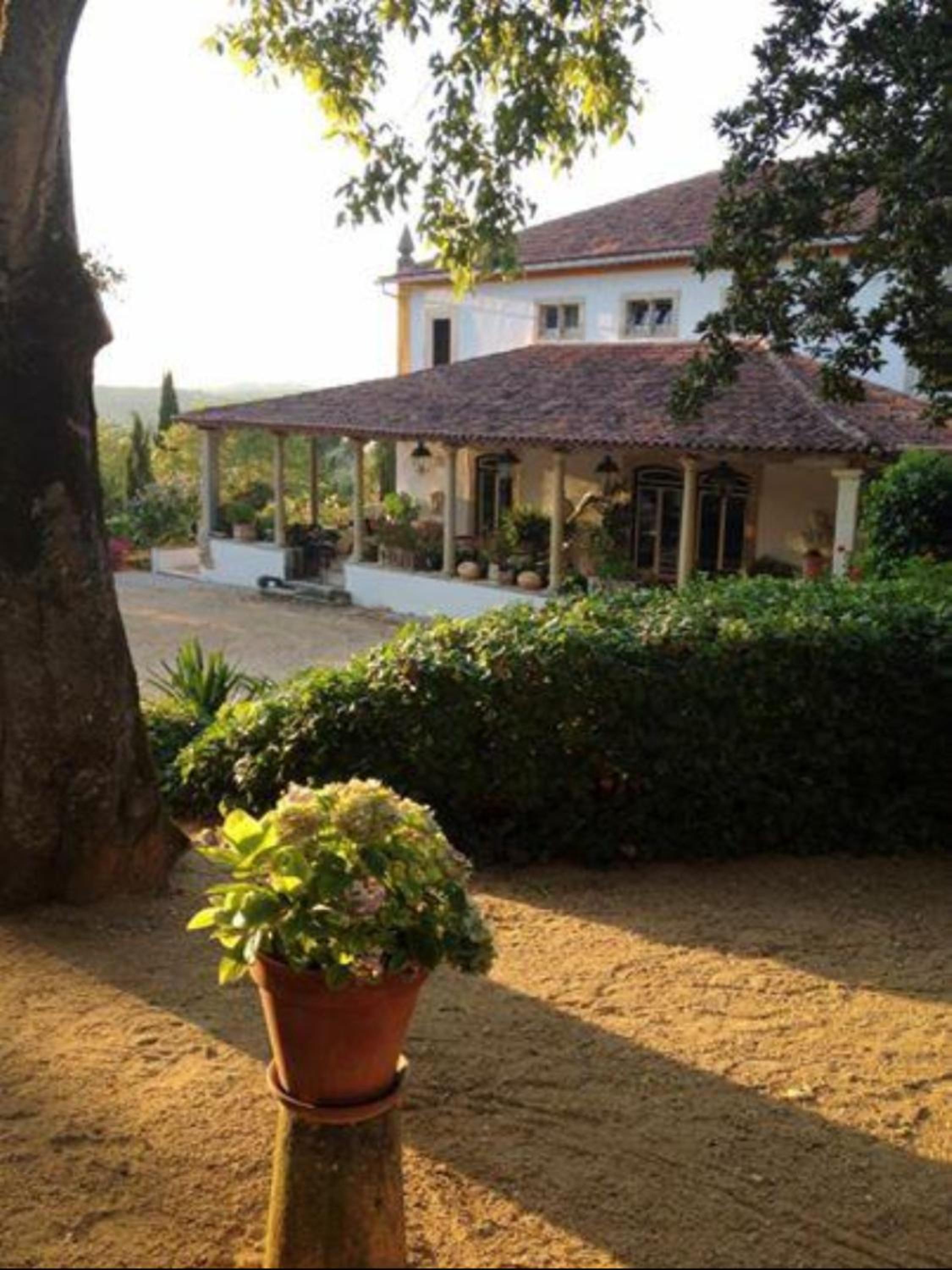 Quinta da Bizelga Cottages view 2