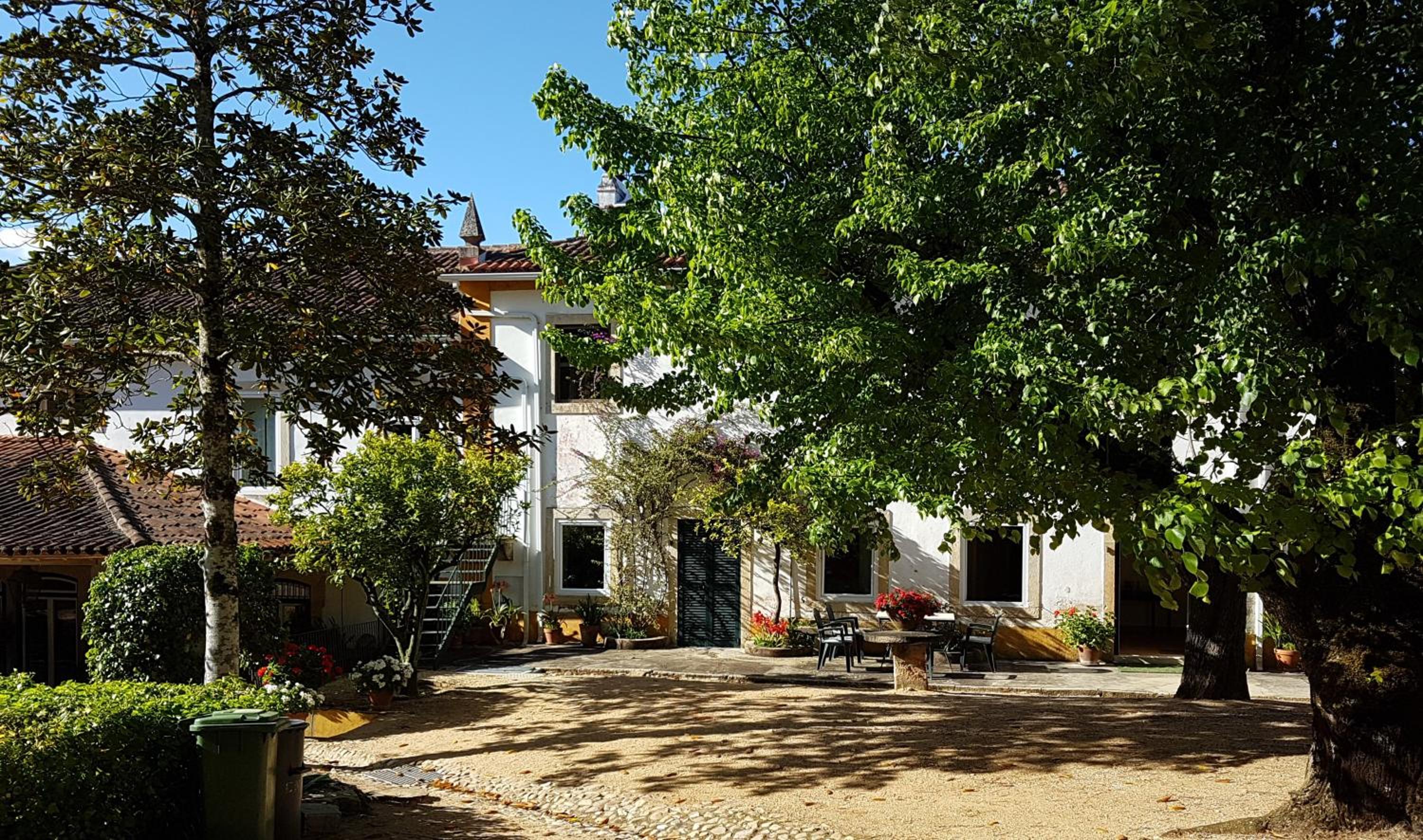Photo 50