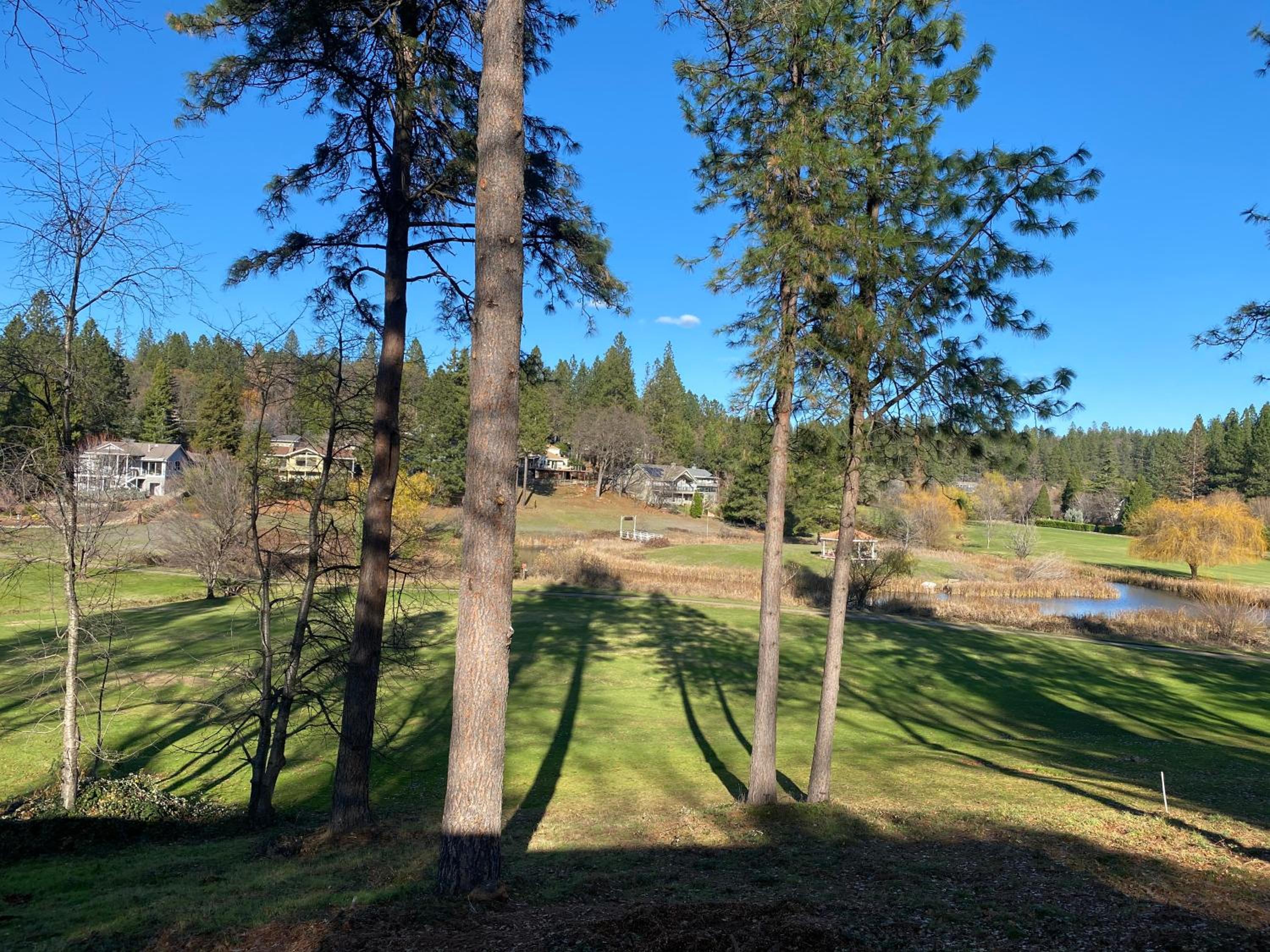 Alta Sierra Village Inn view 4