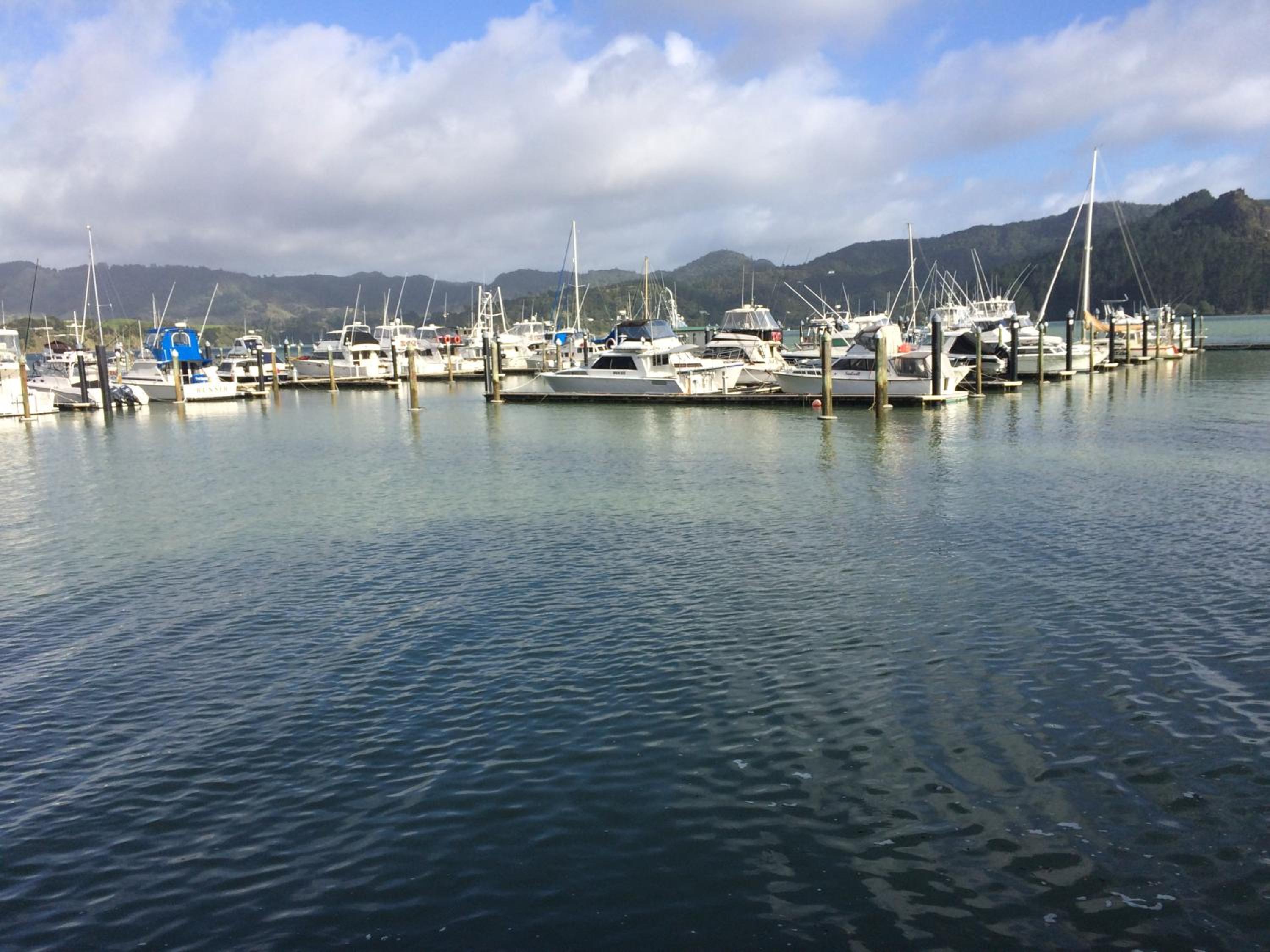 Photo 19