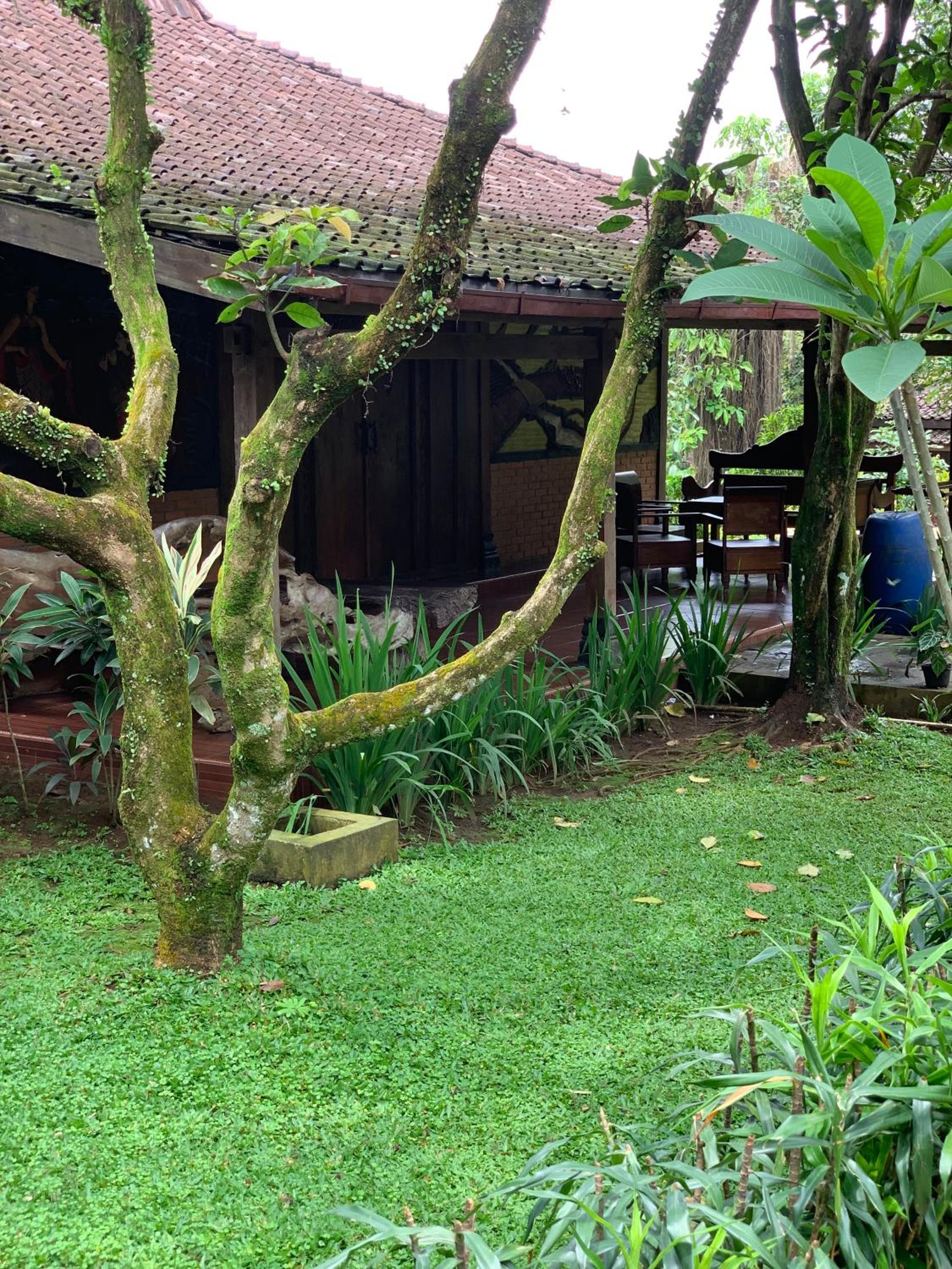 Kampoeng Wisata Rumah Joglo, photo 57