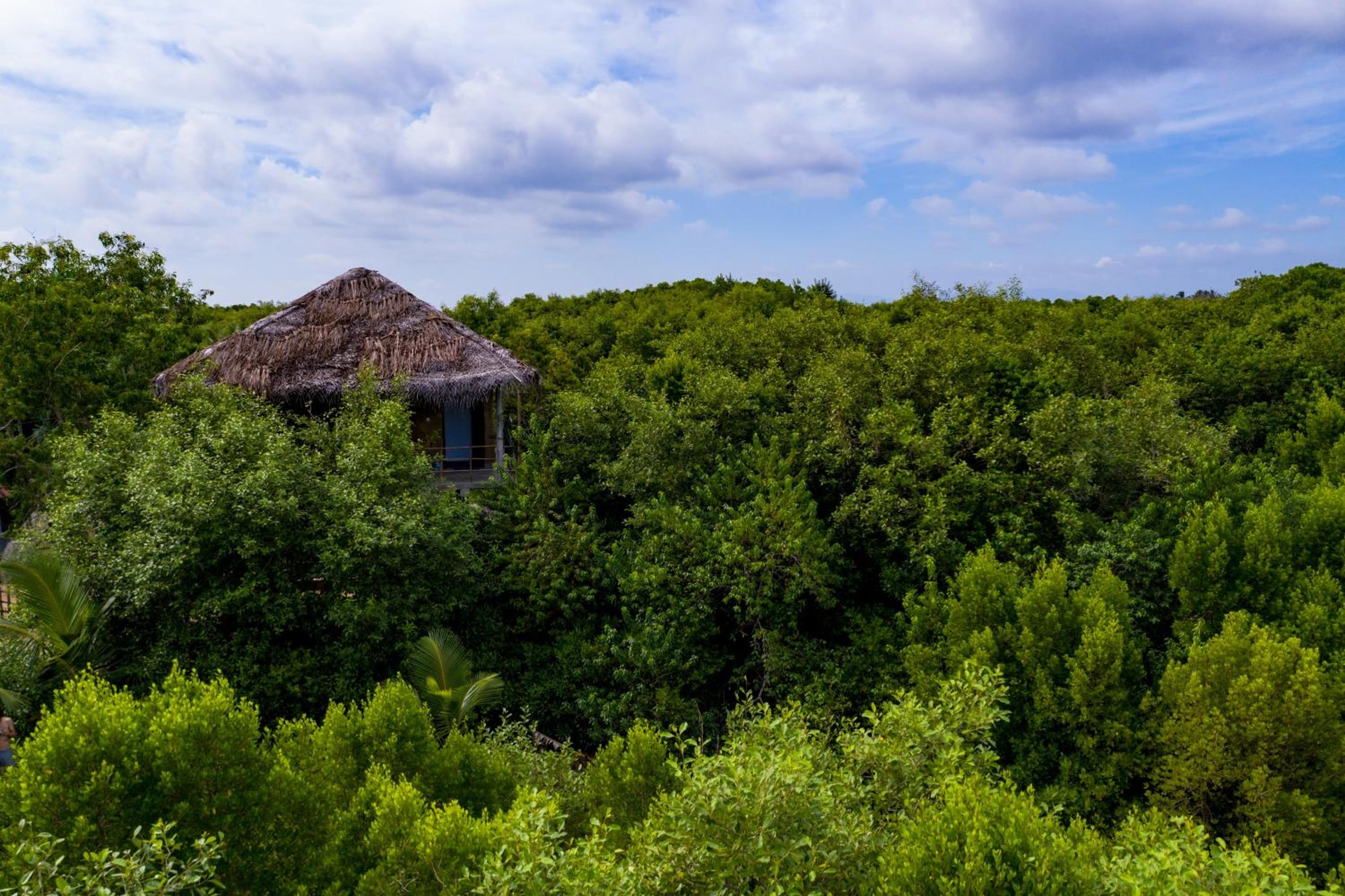 Mermaid Cabana and Tree Houses view 5