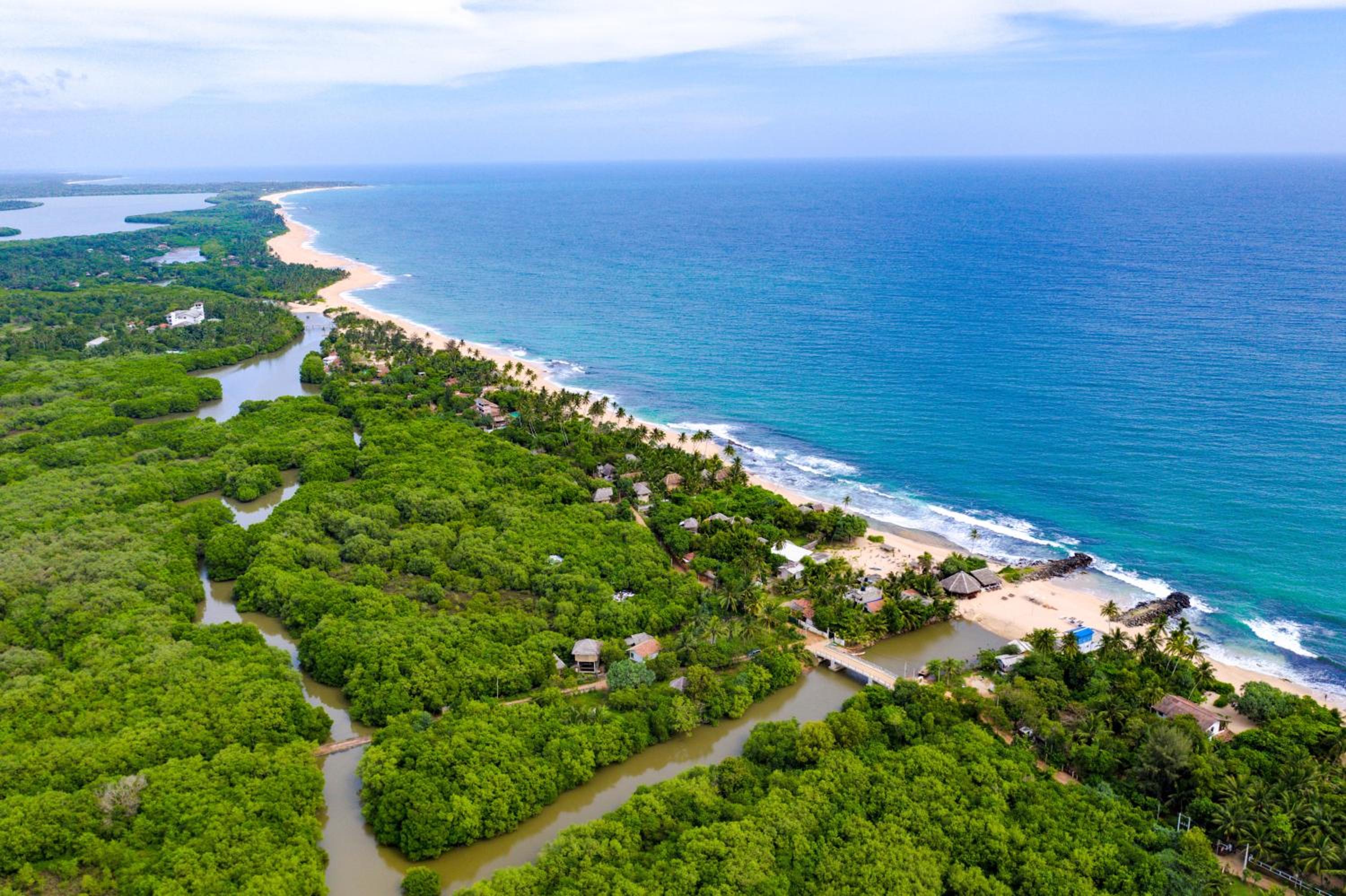 Mermaid Cabana and Tree Houses view 4
