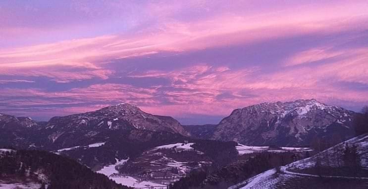 Schirfhof