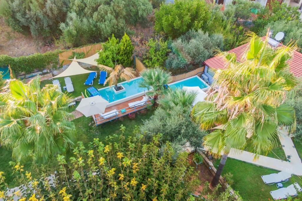 Chania Green House 2 view 4
