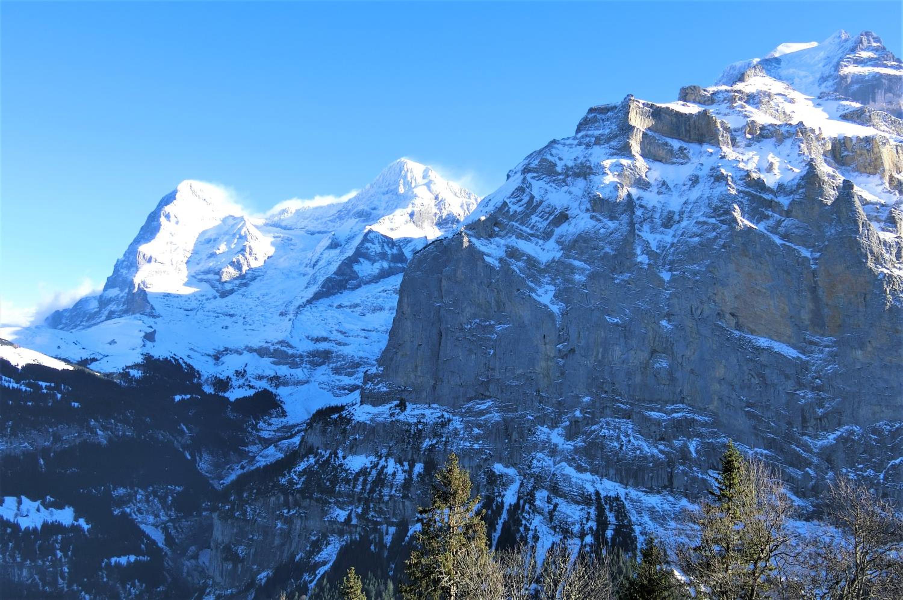 Chalet Raufthubel view 4