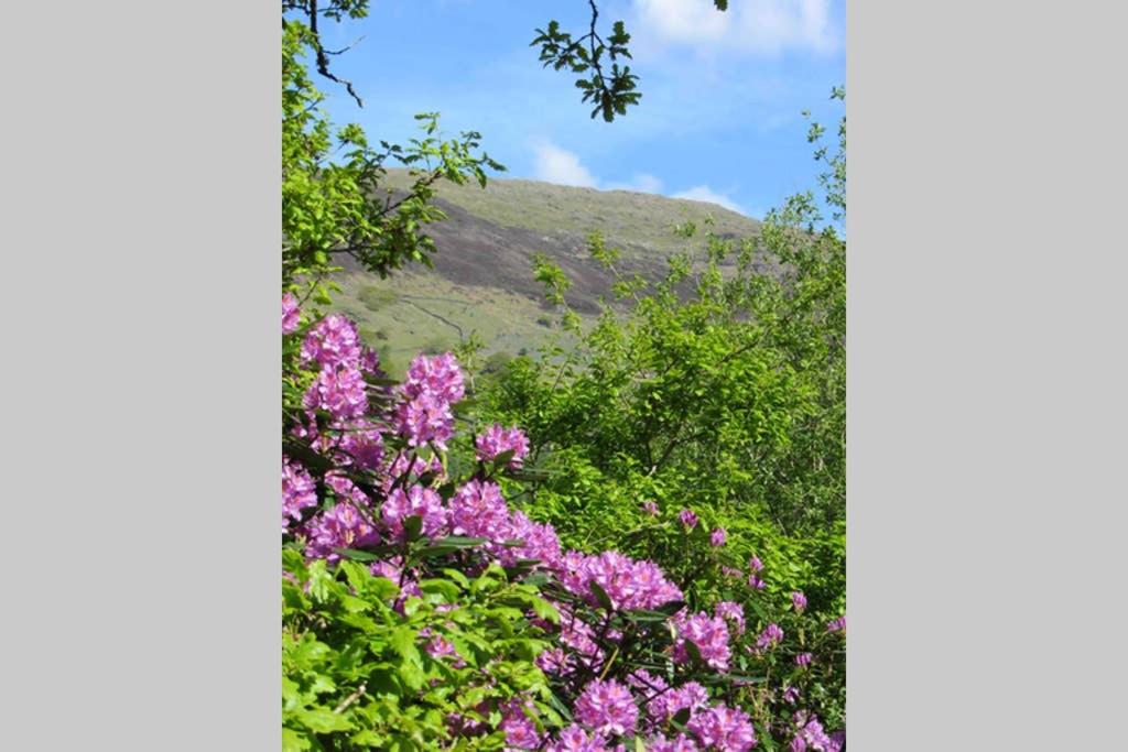 Sygun Cottage - Detached Cottage in the heart of the Snowdonia National Park view 4