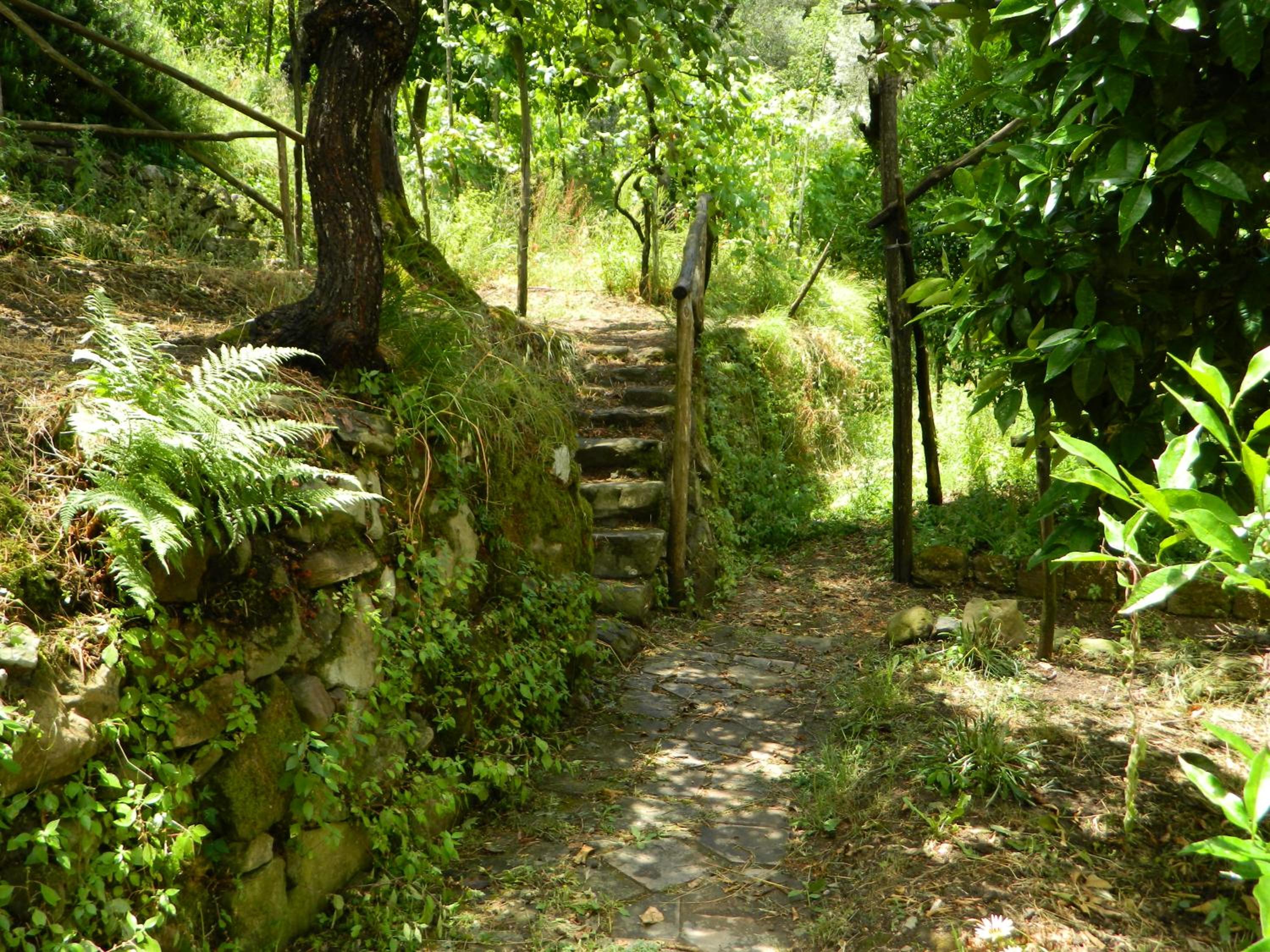 Gli Ulivi Agriturismo photo 4