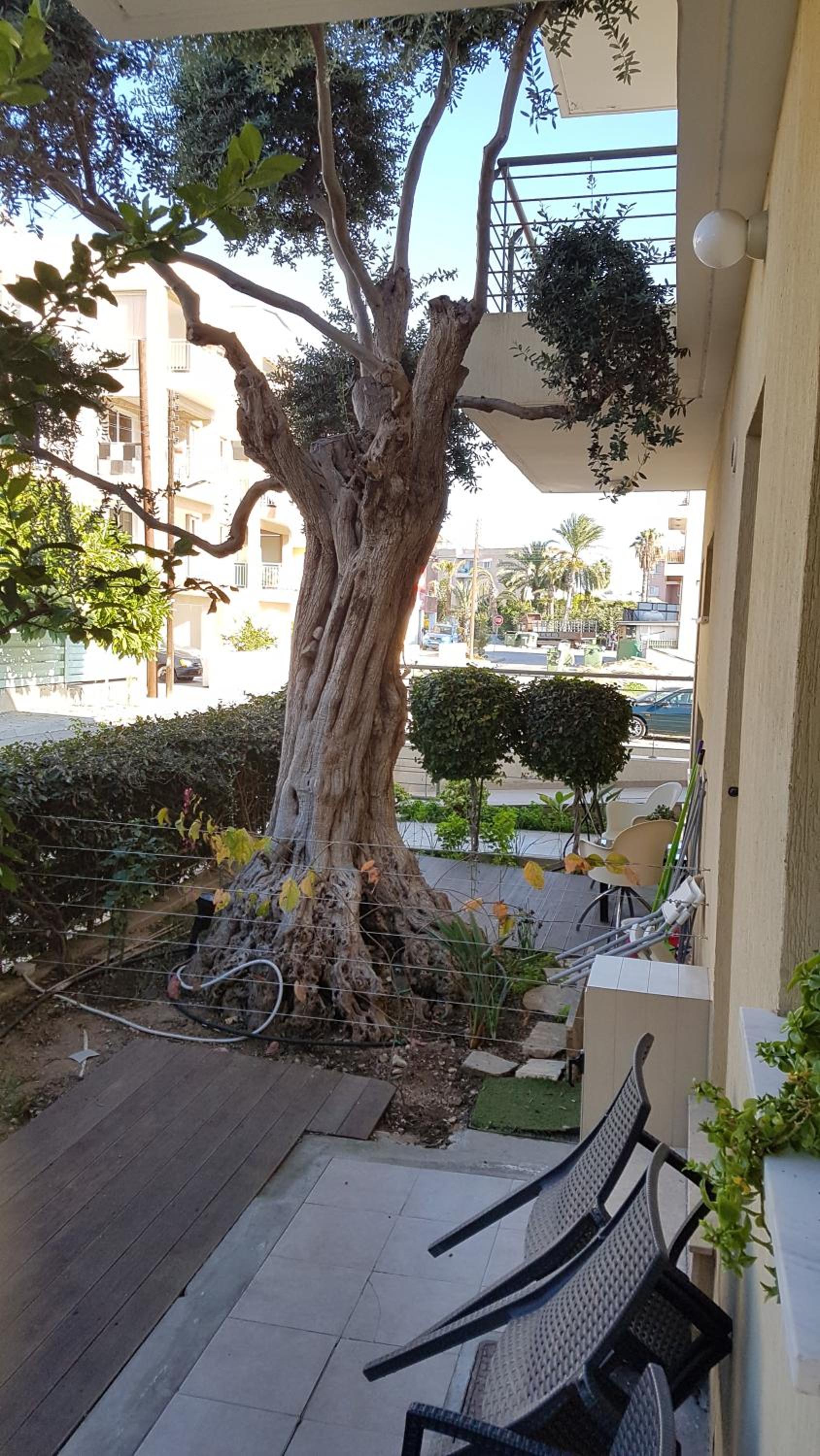 Kerynia Apartments