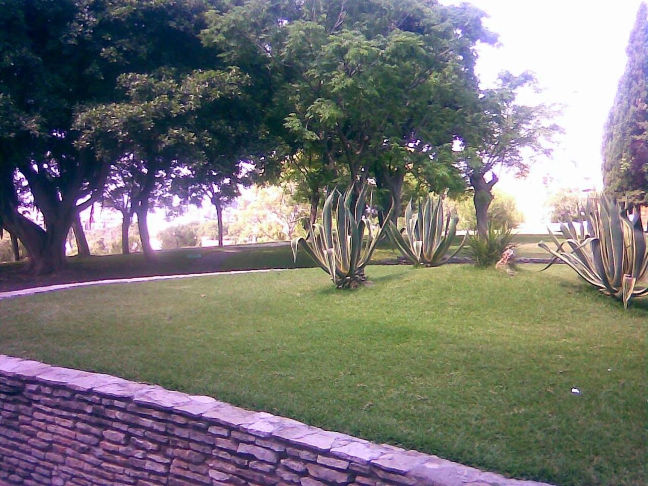 Photo 33