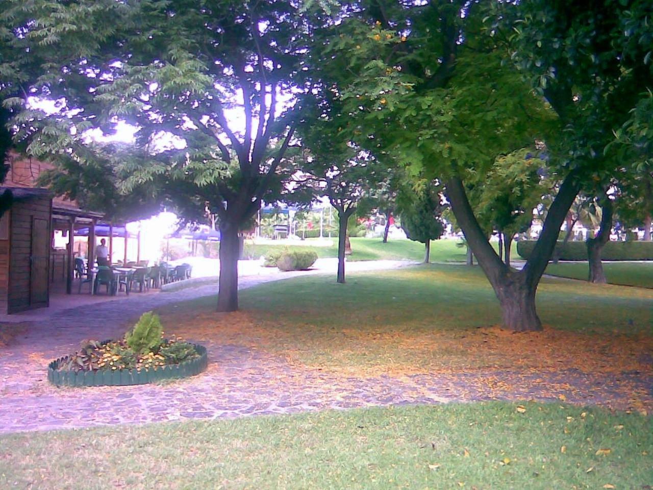 Photo 35