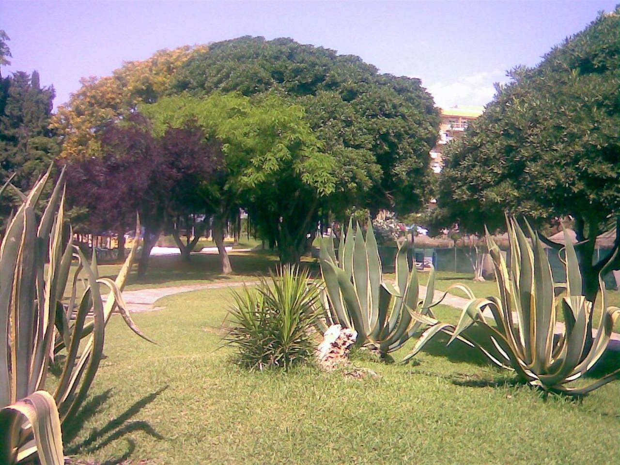 Photo 37