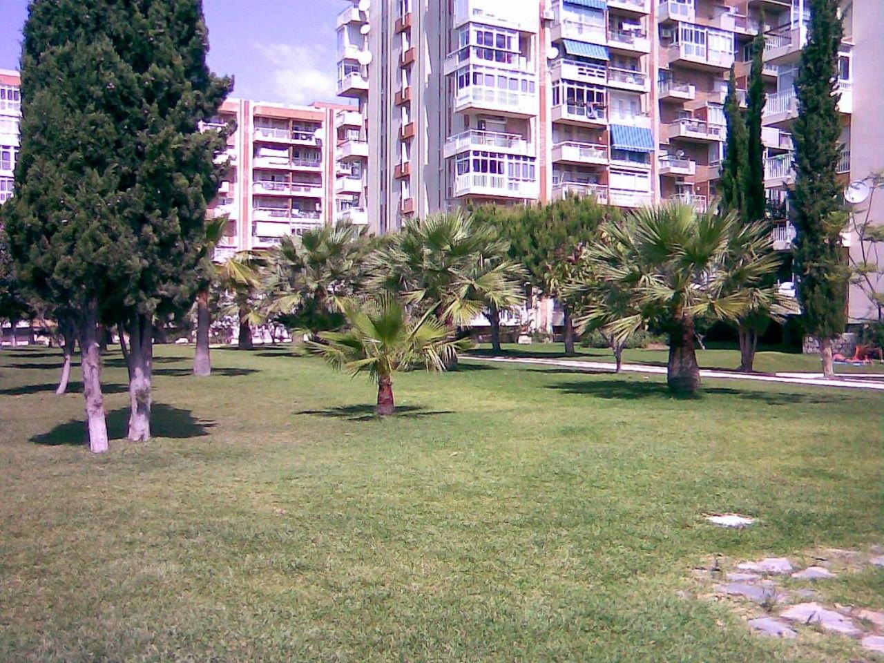 Photo 39