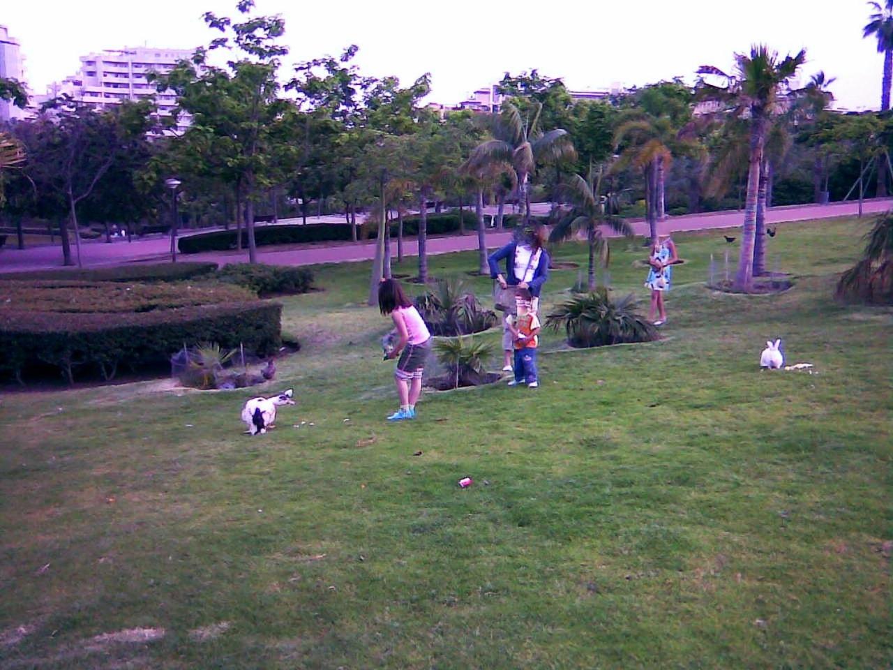 Photo 45