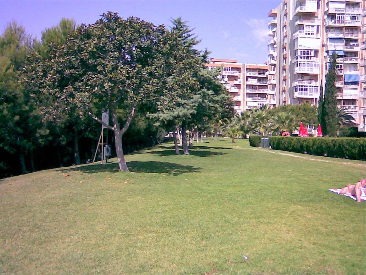 Photo 41