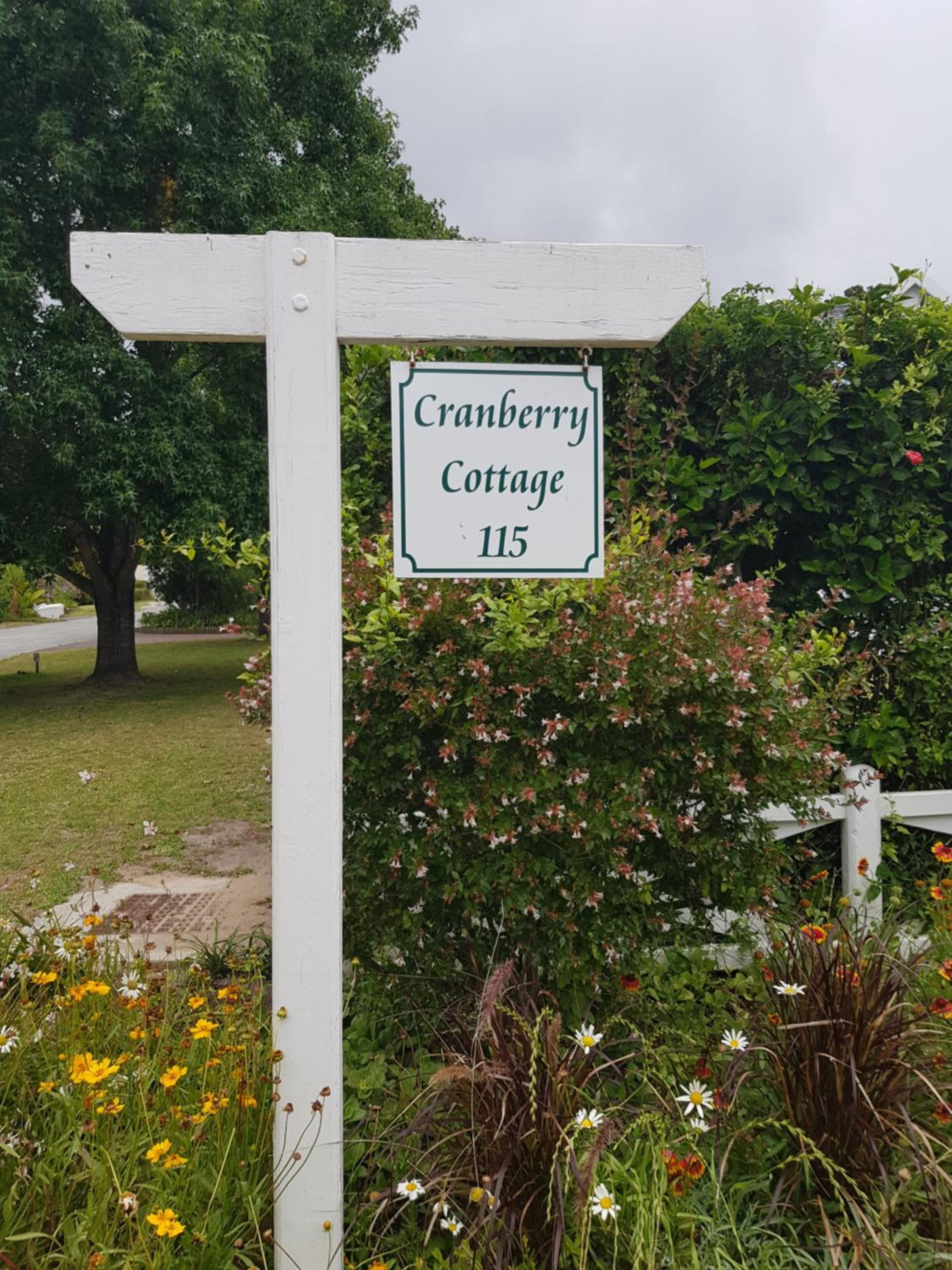 Cranberry cottage studio view 5