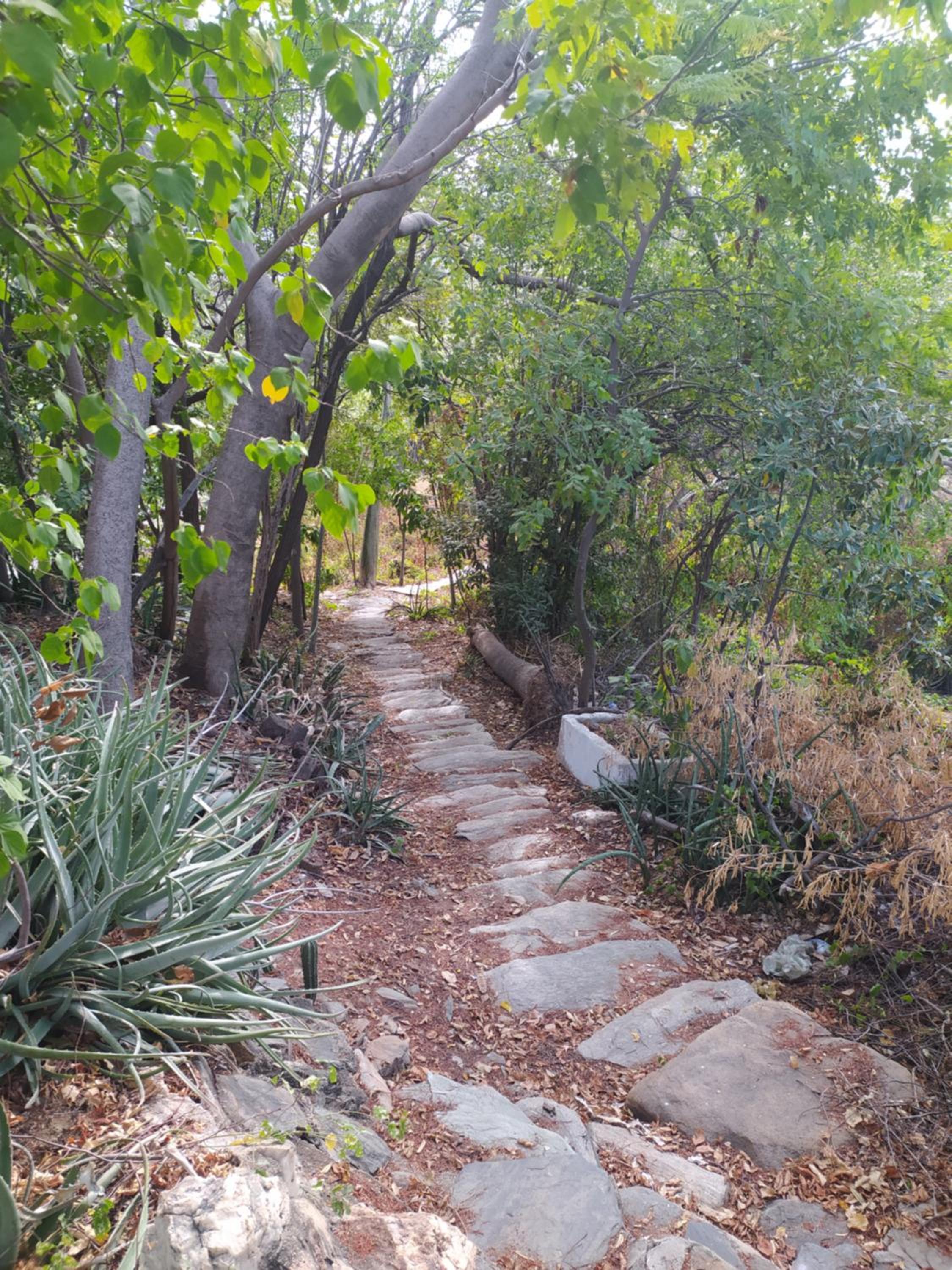 Jardin Etnobotanico Villa Ludovica