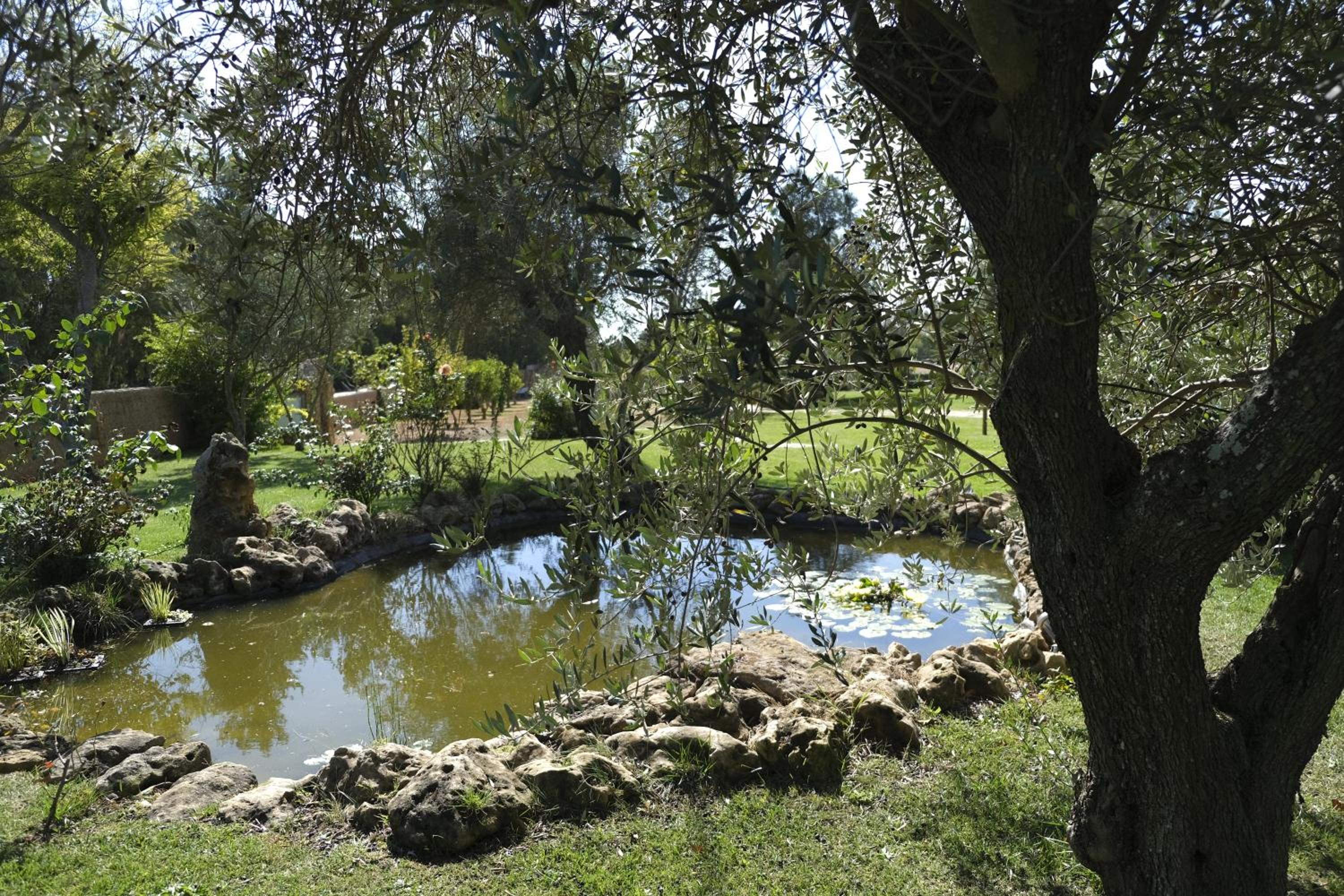 Inghirios Wellness Country Resort