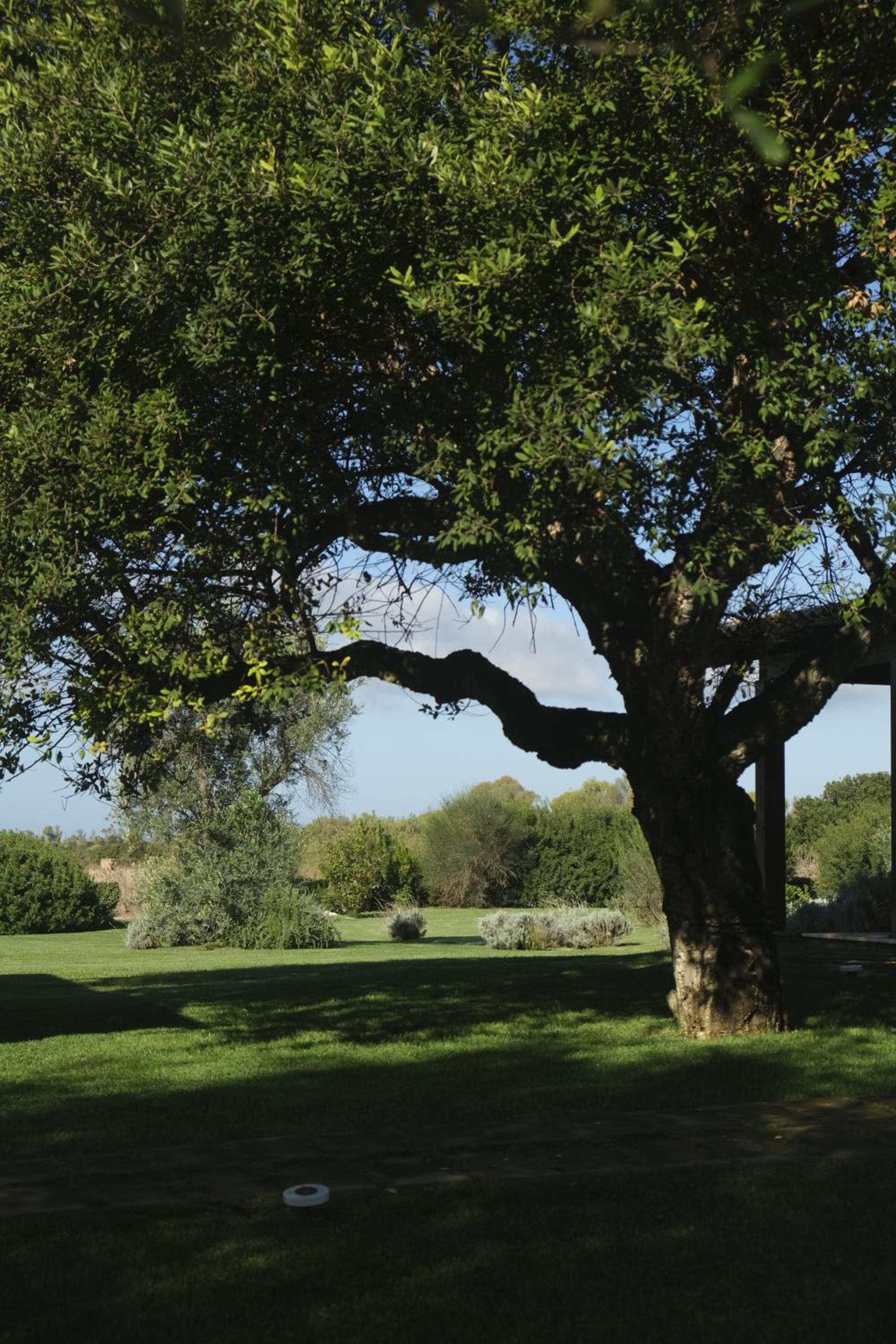 Inghirios Wellness Country Resort