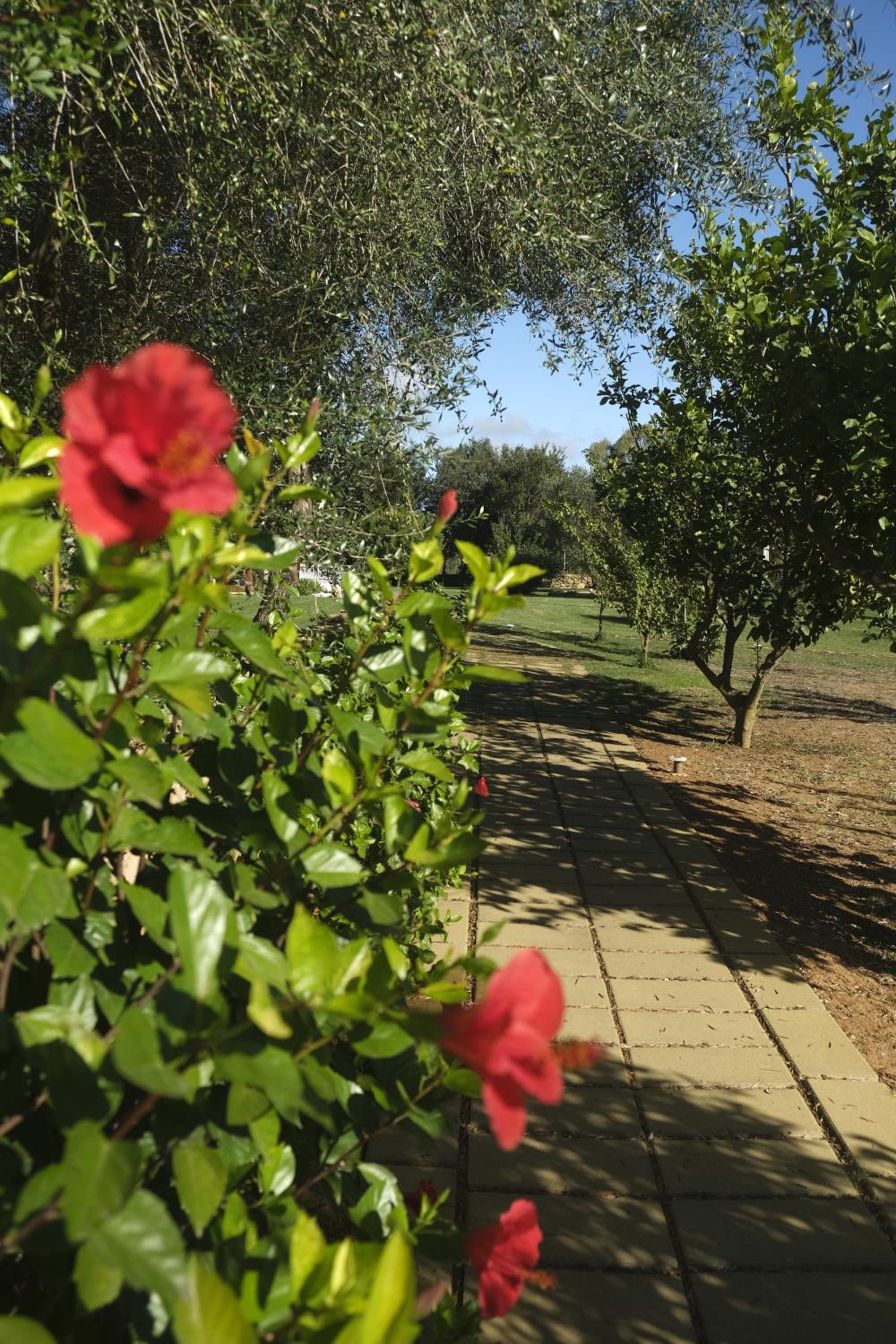 Inghirios Wellness Country Resort