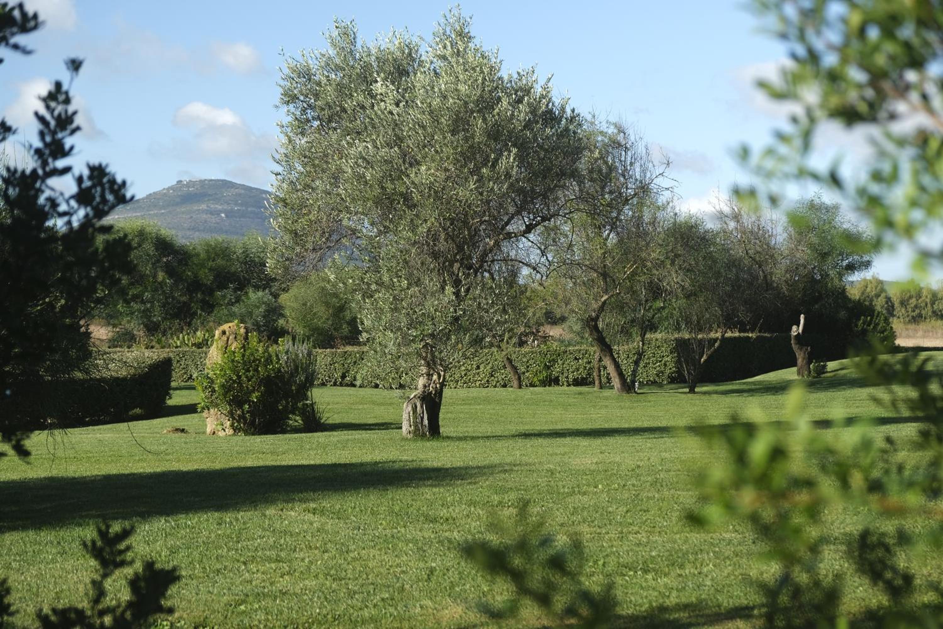 Inghirios Wellness Country Resort