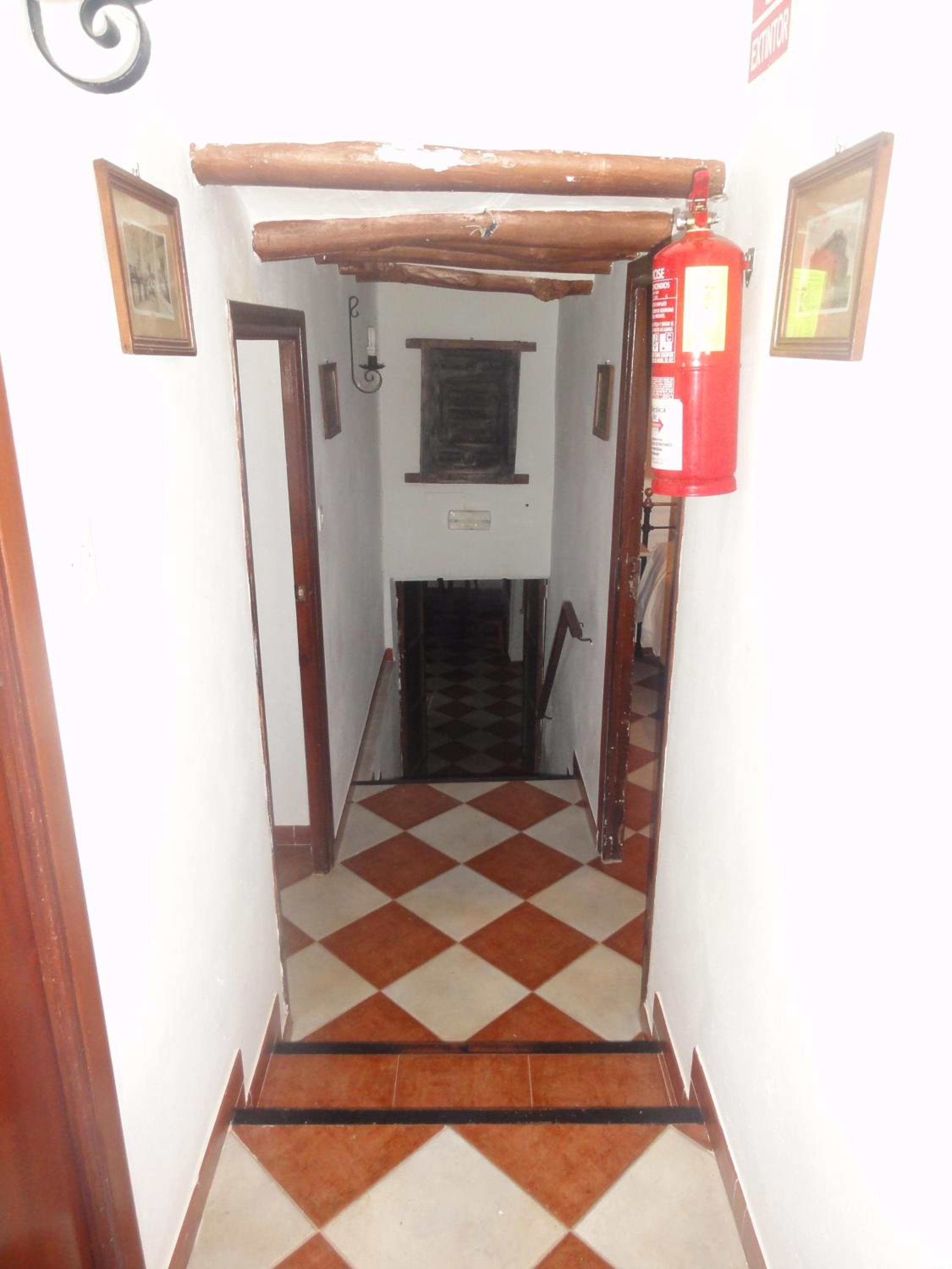 Photo 41