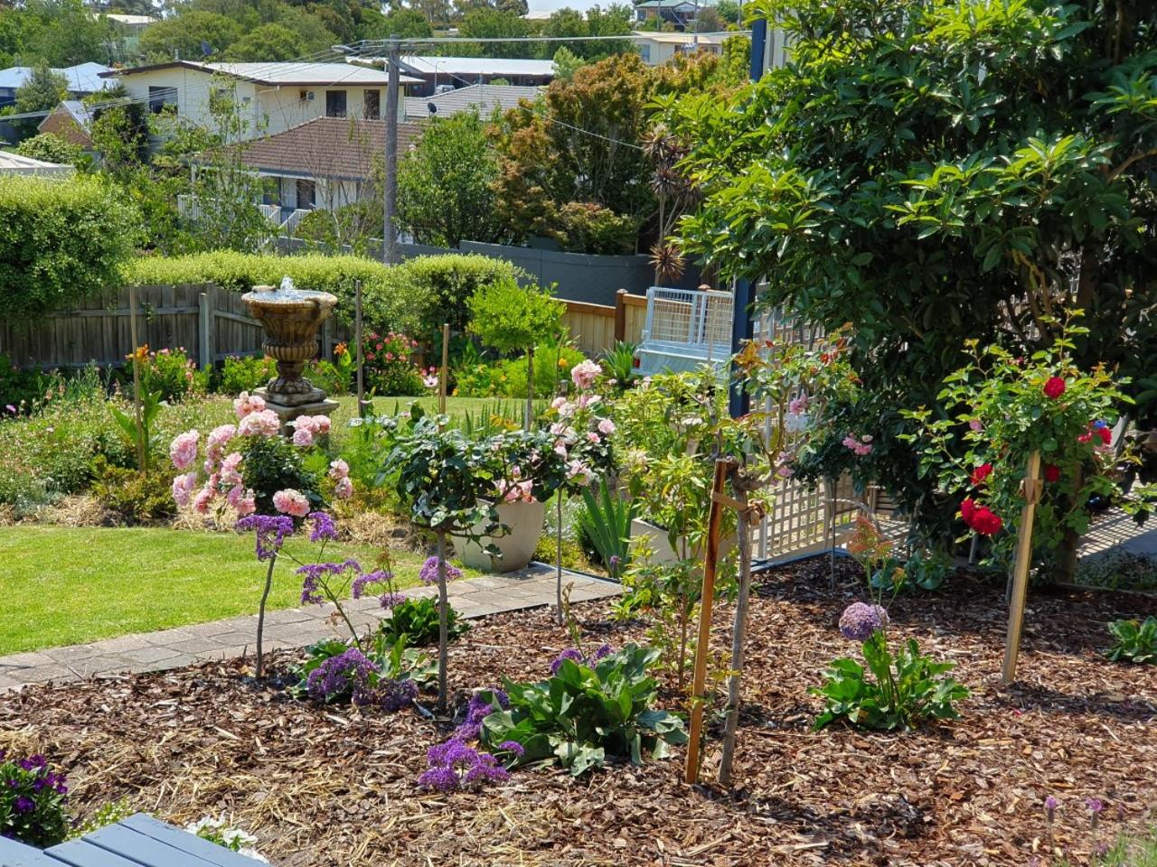 Abalone Guest Accommodation