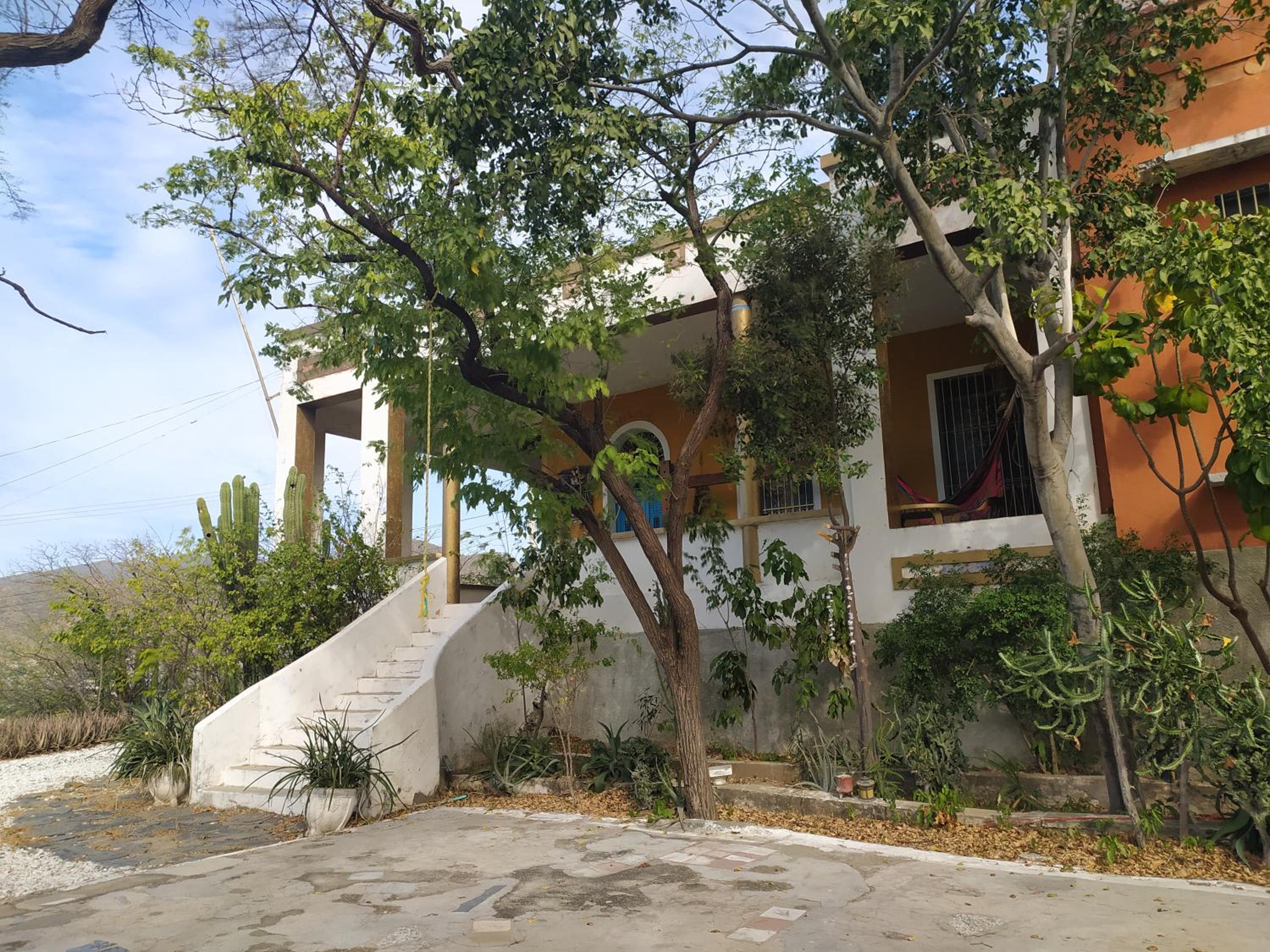 Jardin Etnobotanico Villa Ludovica