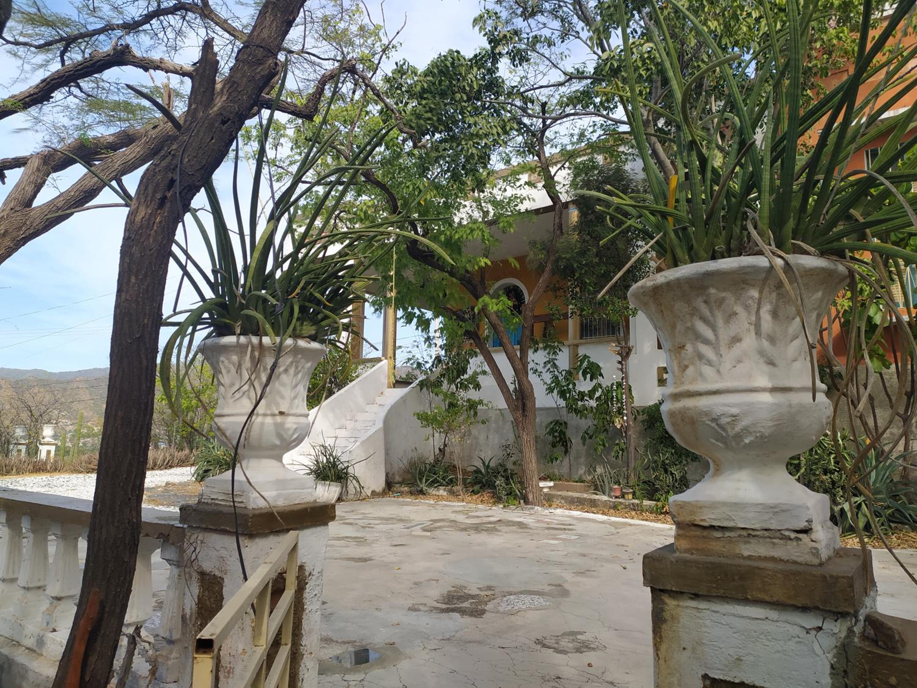 Jardin Etnobotanico Villa Ludovica