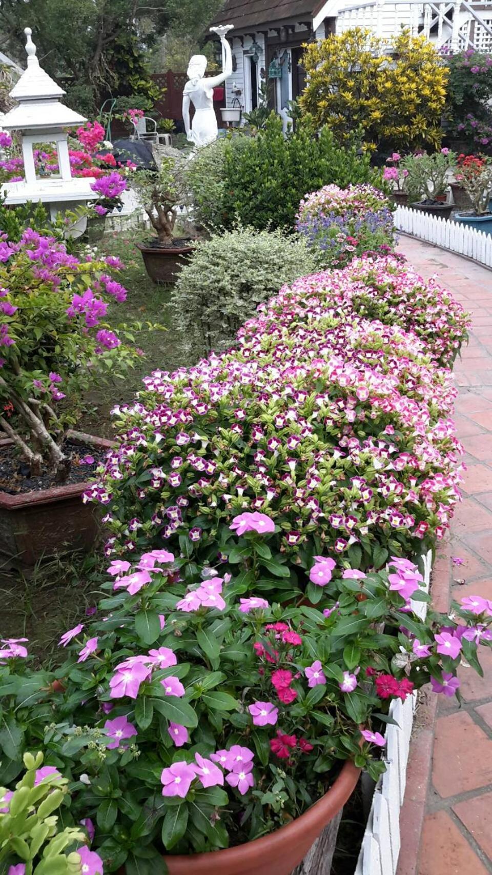 Photo 41