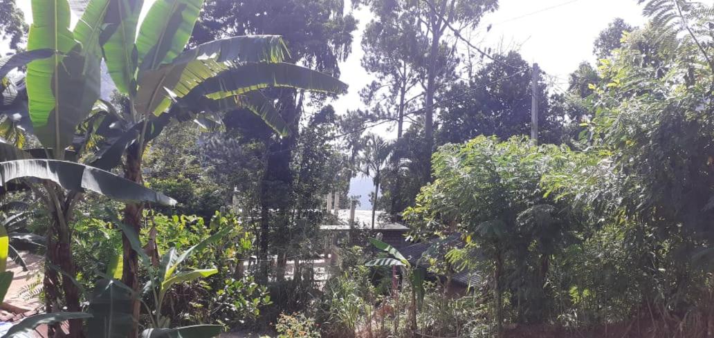 Littleadams View