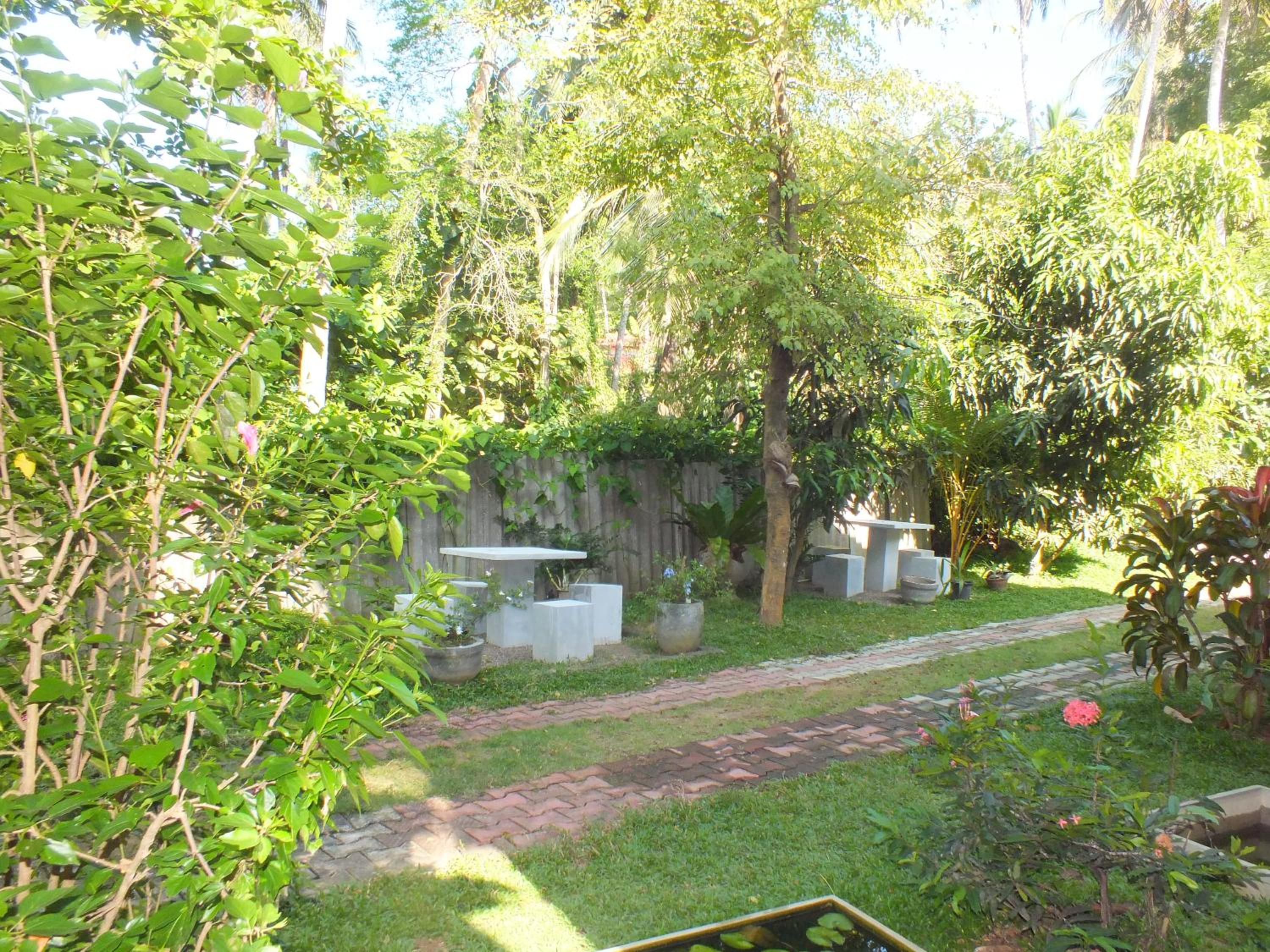 Photo 23