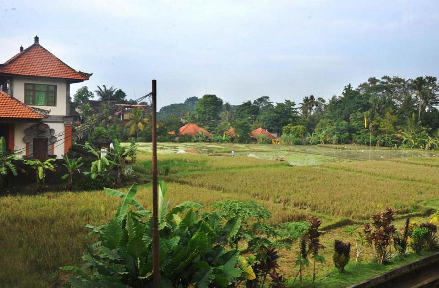 Candra Asri Bungalow! Free Early Check In!