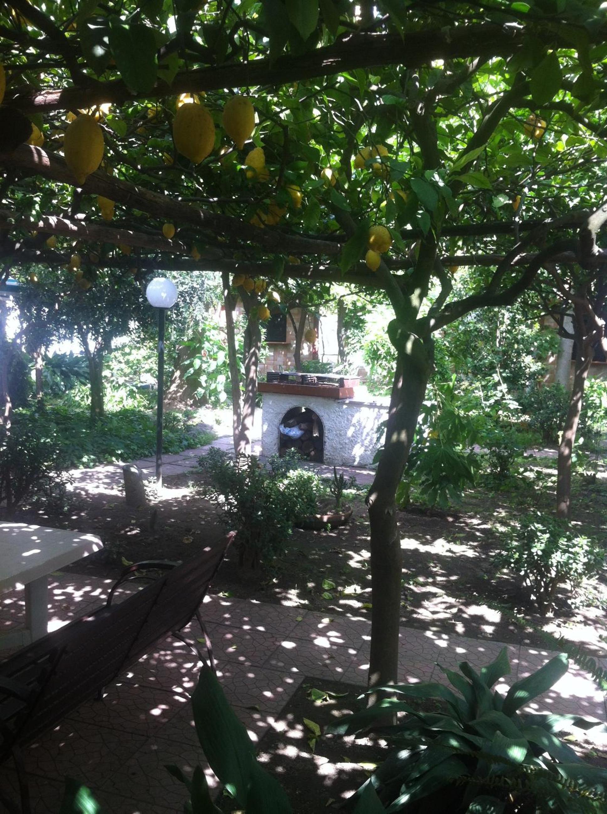 Photo 12
