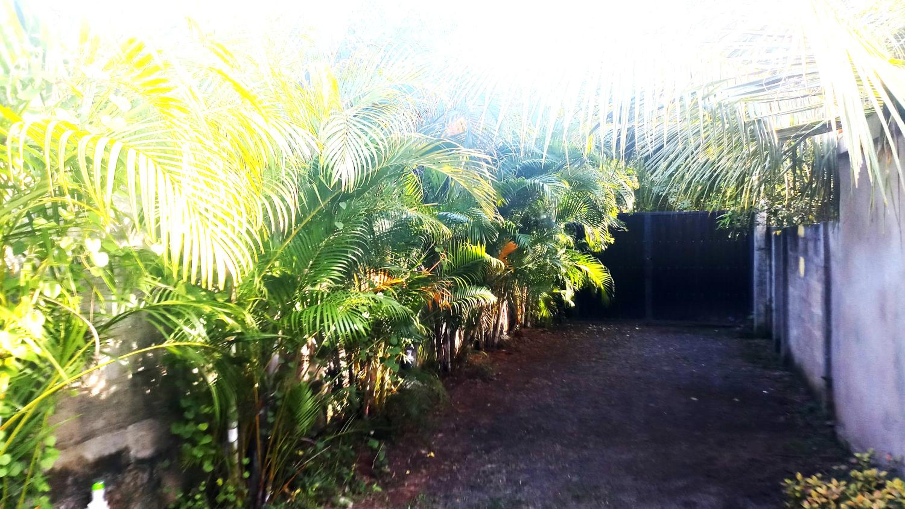 Photo 51